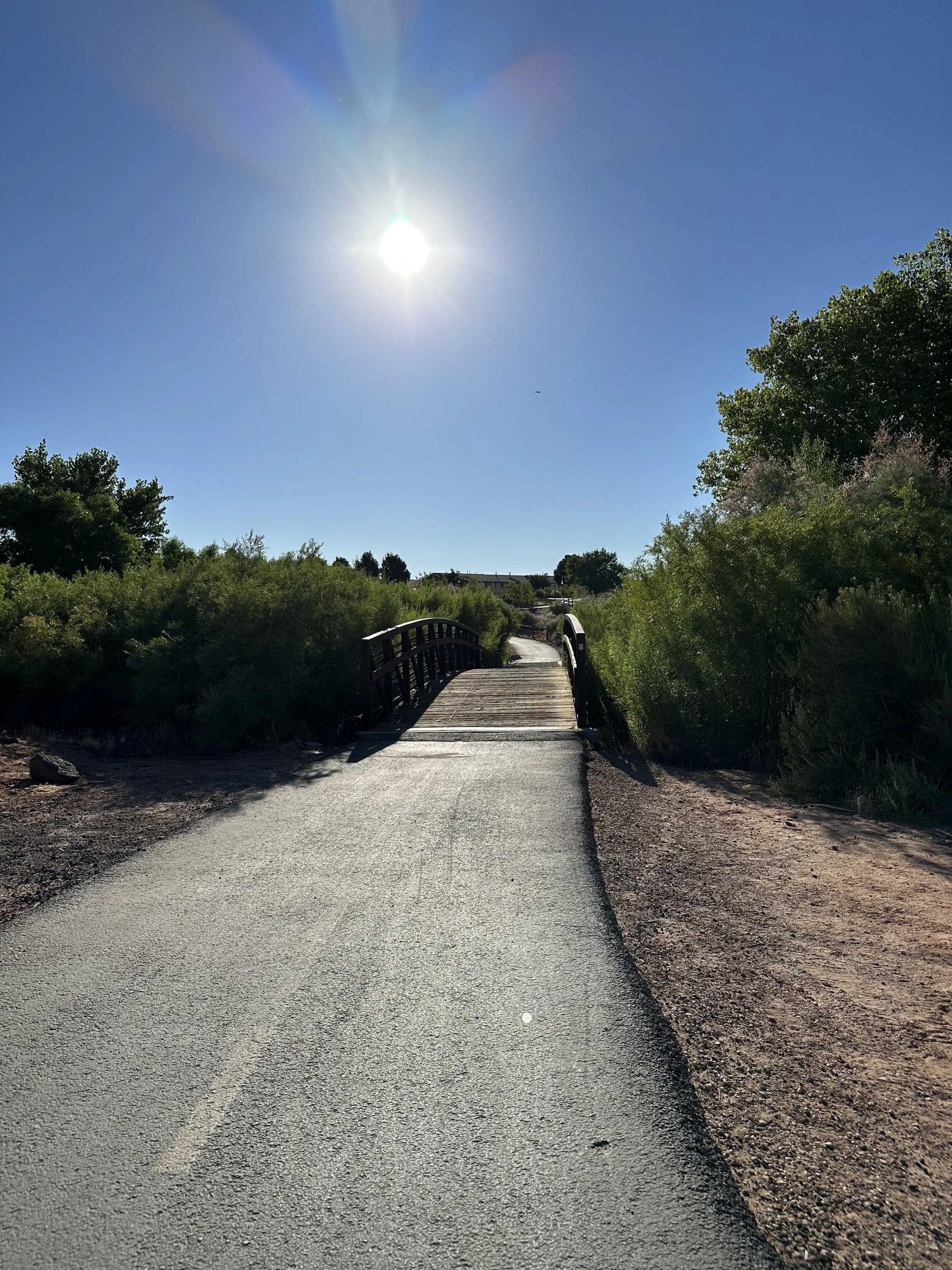Wednesday Bird Walk: Sand Hollow Wash(Tuweap Marsh)