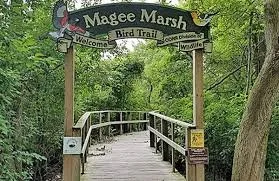 Talk: Bird Watching in Magee Marsh