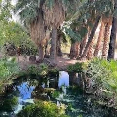 March Field Trip: Warm Springs Natural Area Field Trip