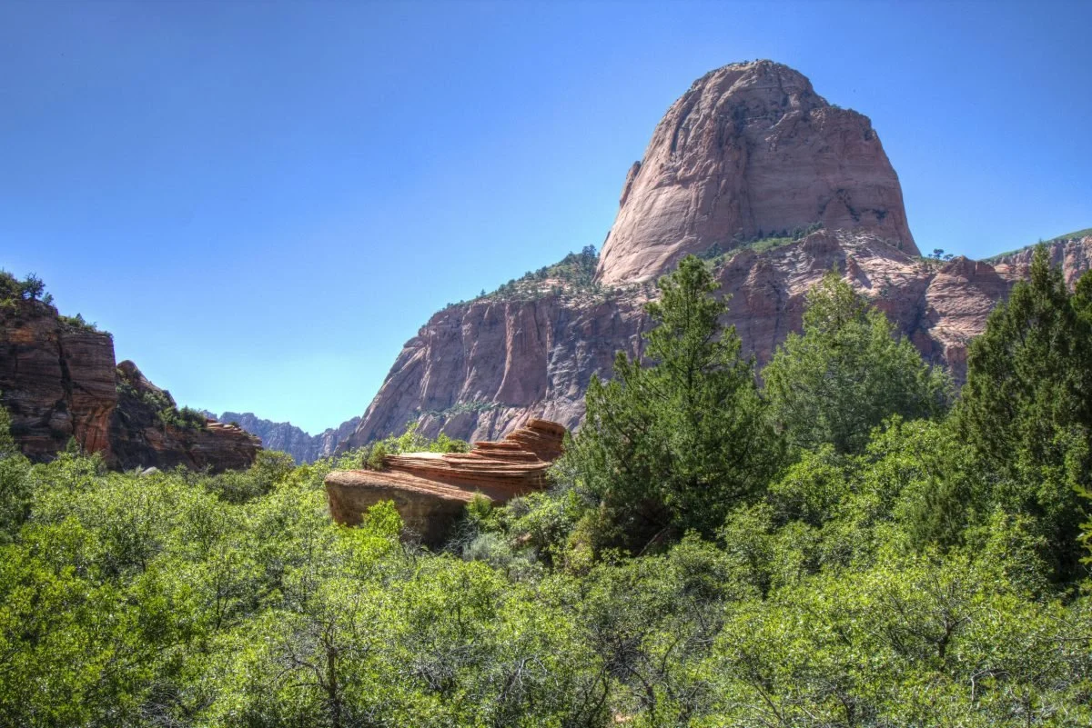 Saturday Field Trip: Hop Valley Trail