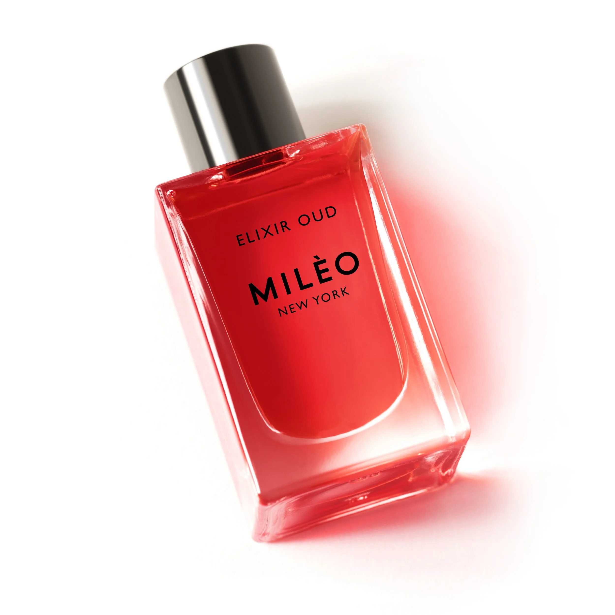 Red Elixir Press Page website low res.jpg