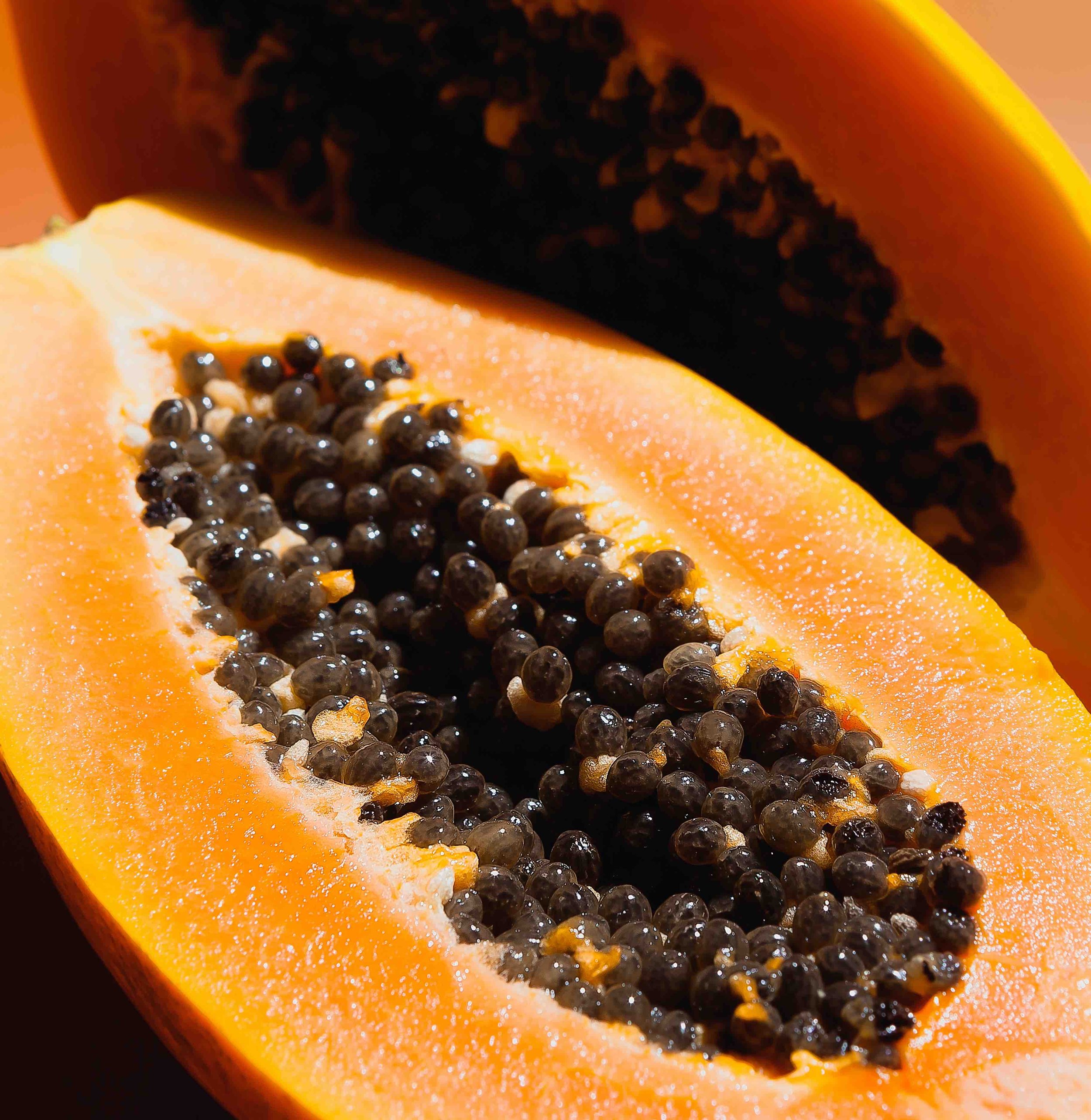 Papaya 2 low res.jpg