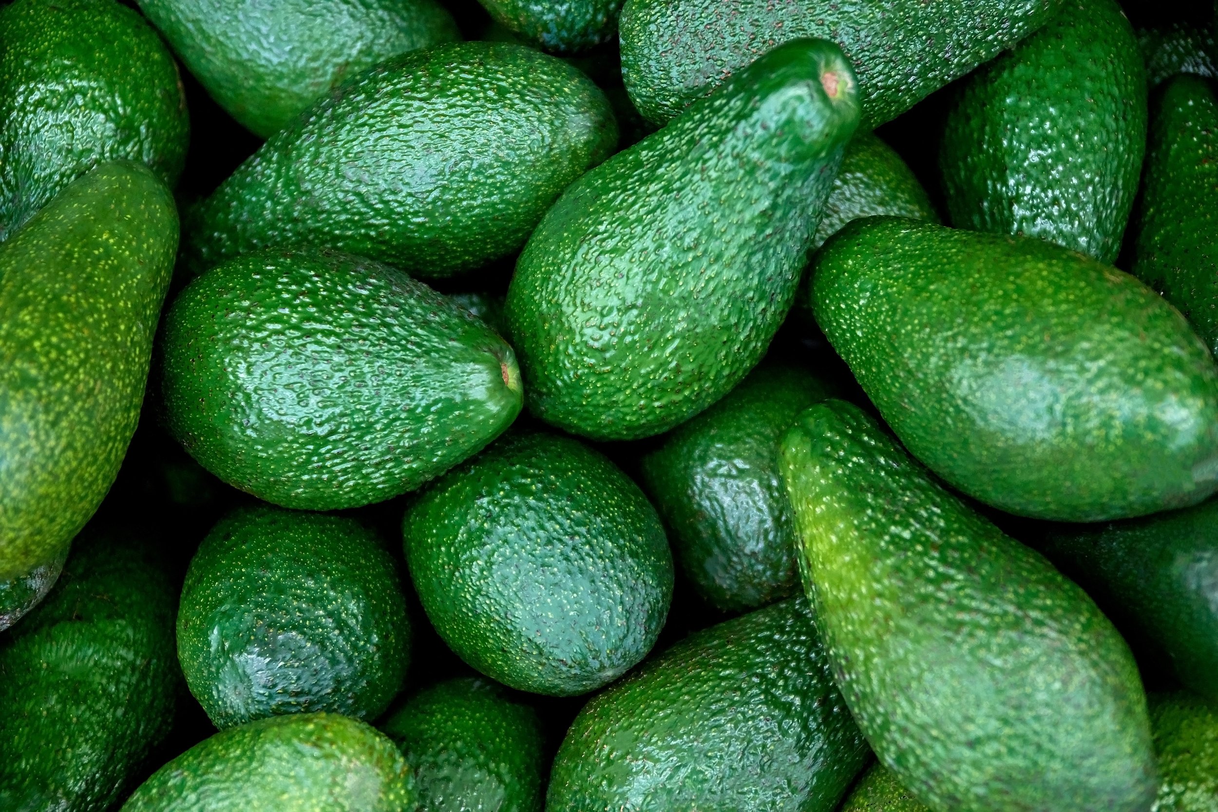 Avocados.jpg