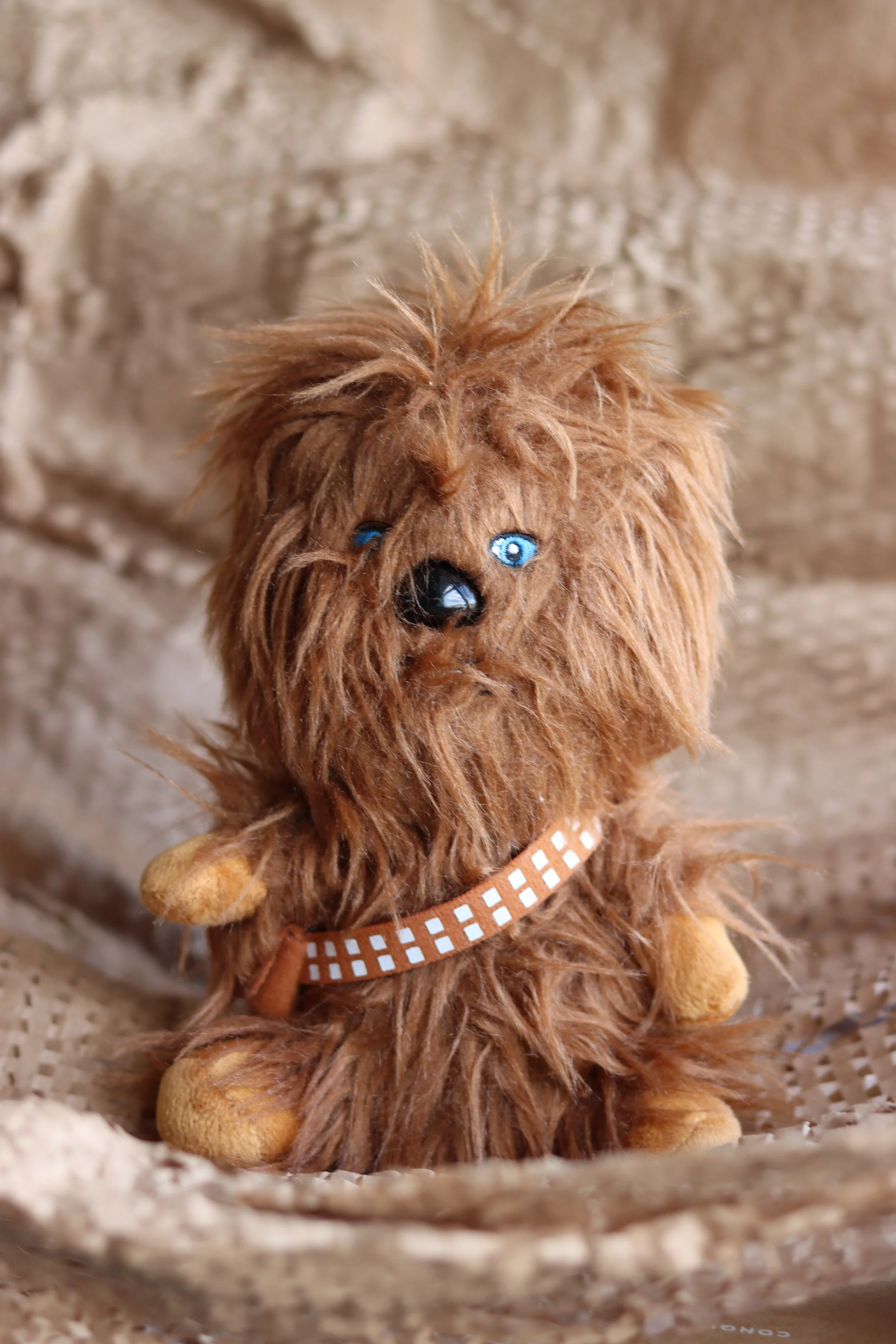 Fandom Spaces as Sacred Spaces