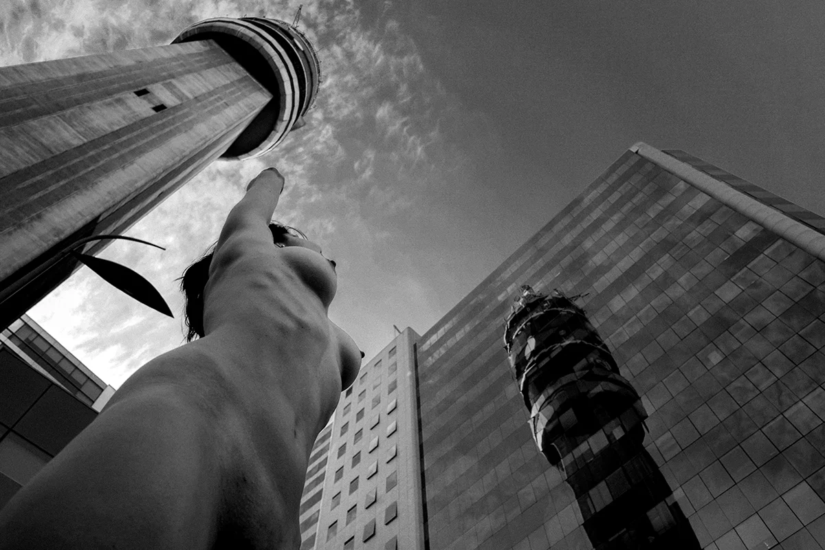 c01331b.jpg