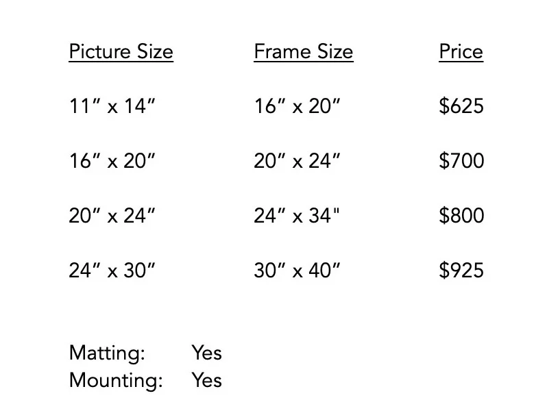 Screen+Shot+2019-05-19+at+6.20.03+AM.jpg