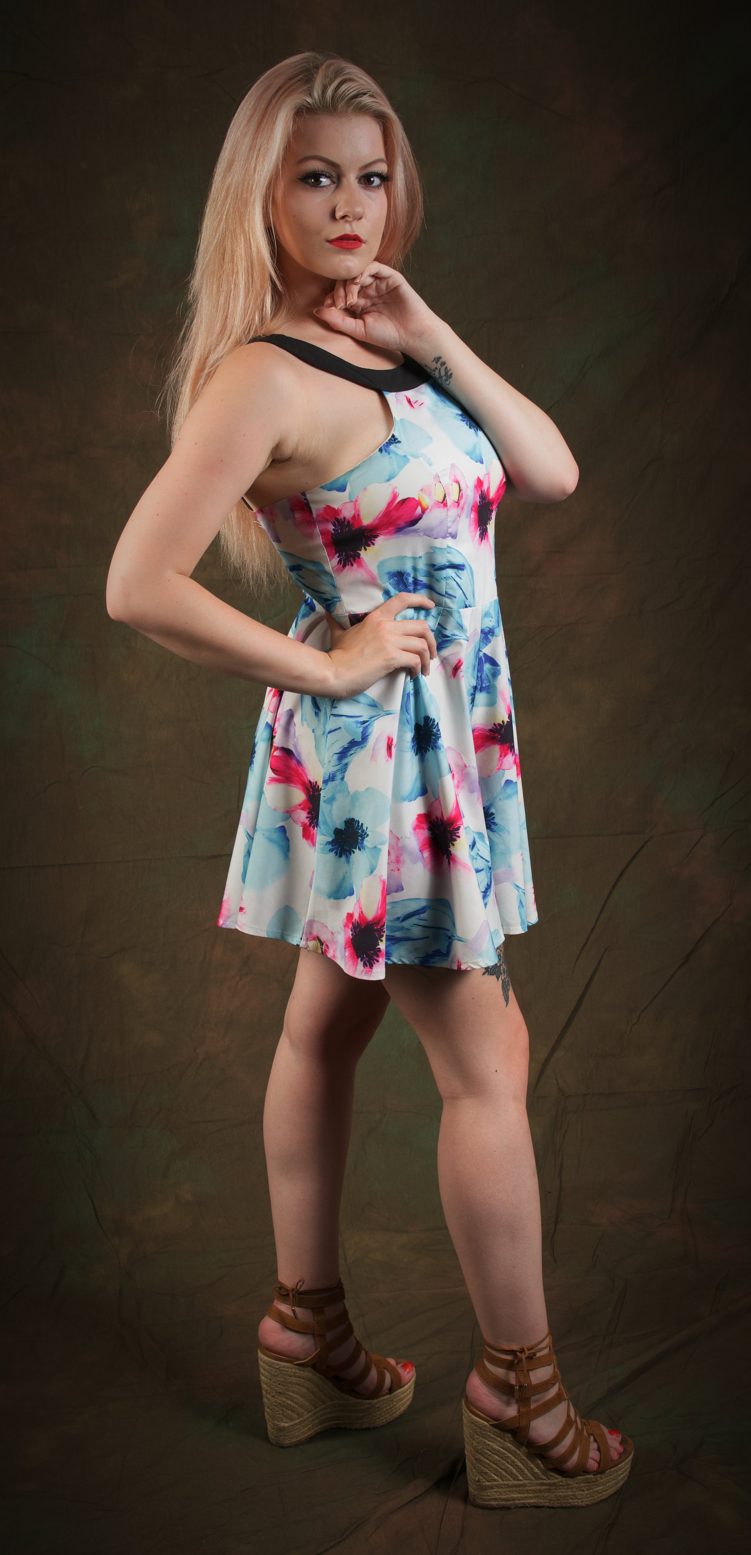  Model 