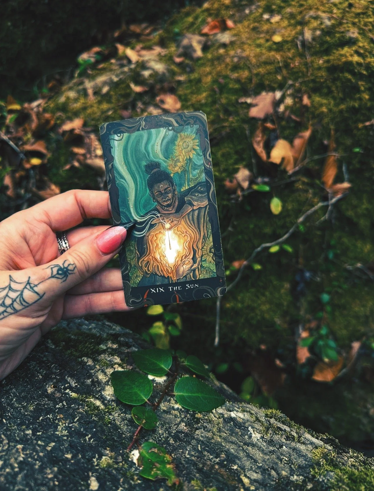 FullSizeRender_VSCO 2.JPG