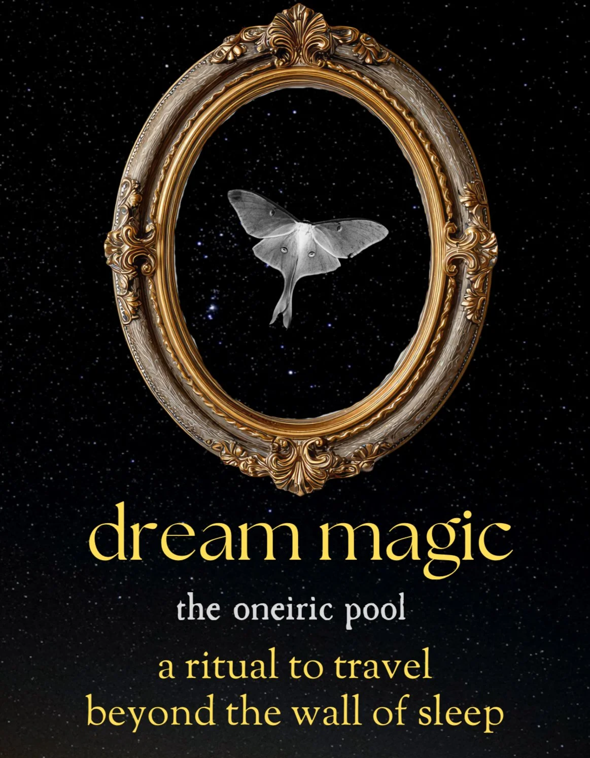 Dream Magic Workbook