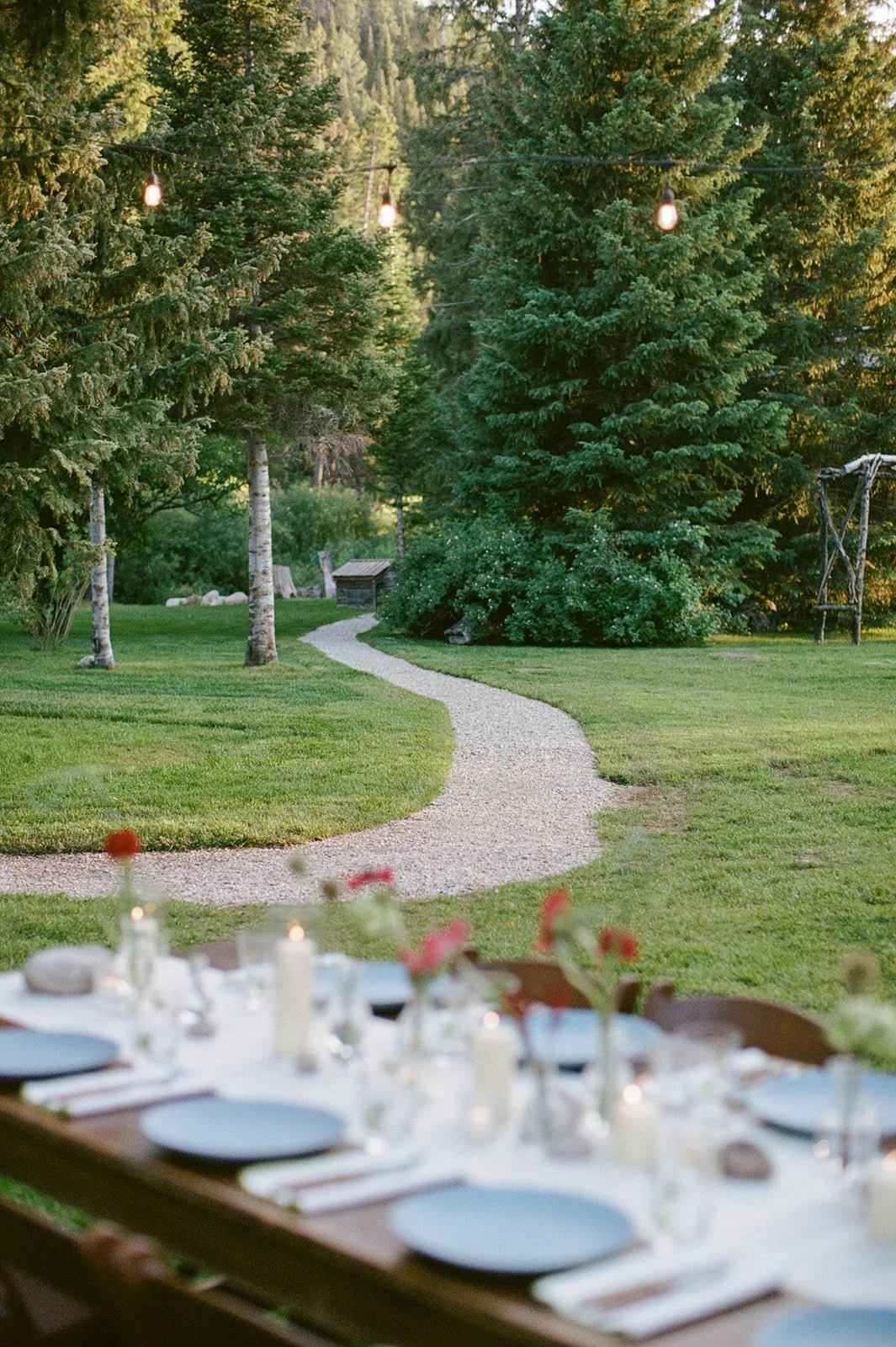 Dinner table outside with pines behind