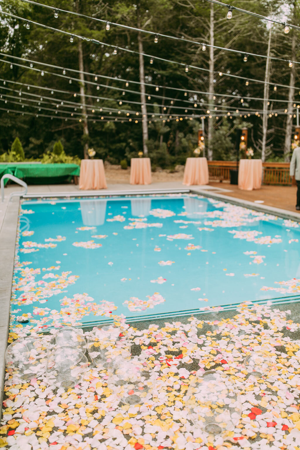 Floating rose petals in the pool