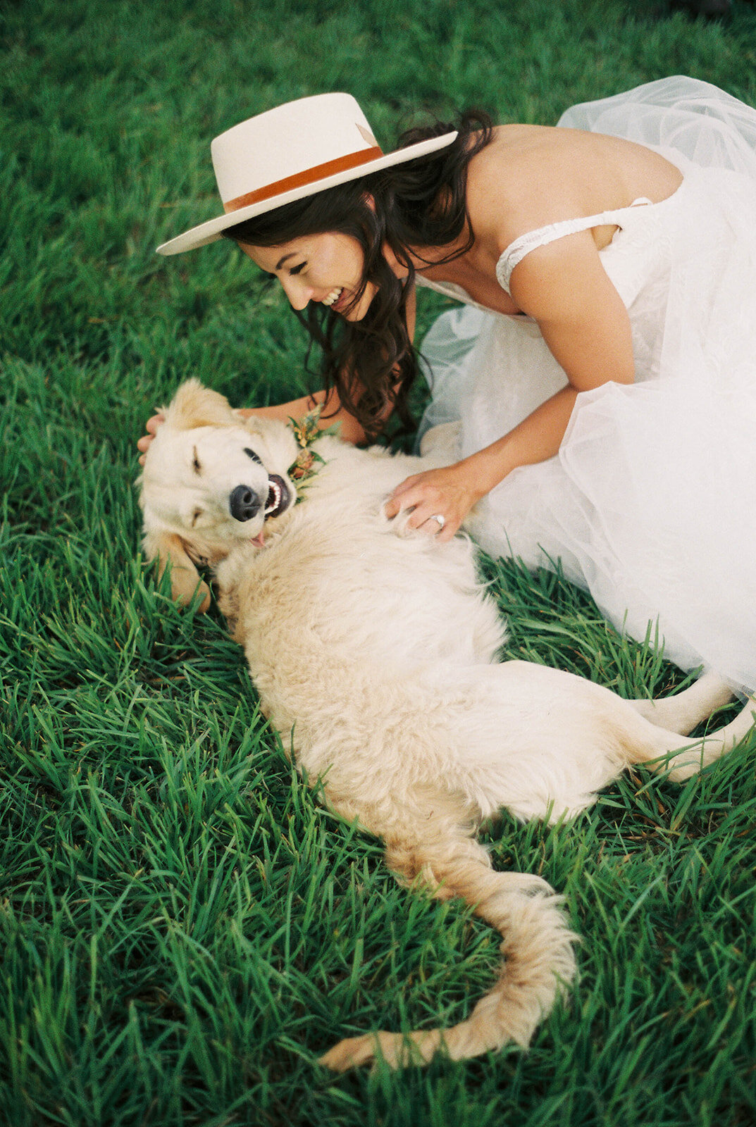 Boho Western Bride and puppy at Colorado Mountain Elopement