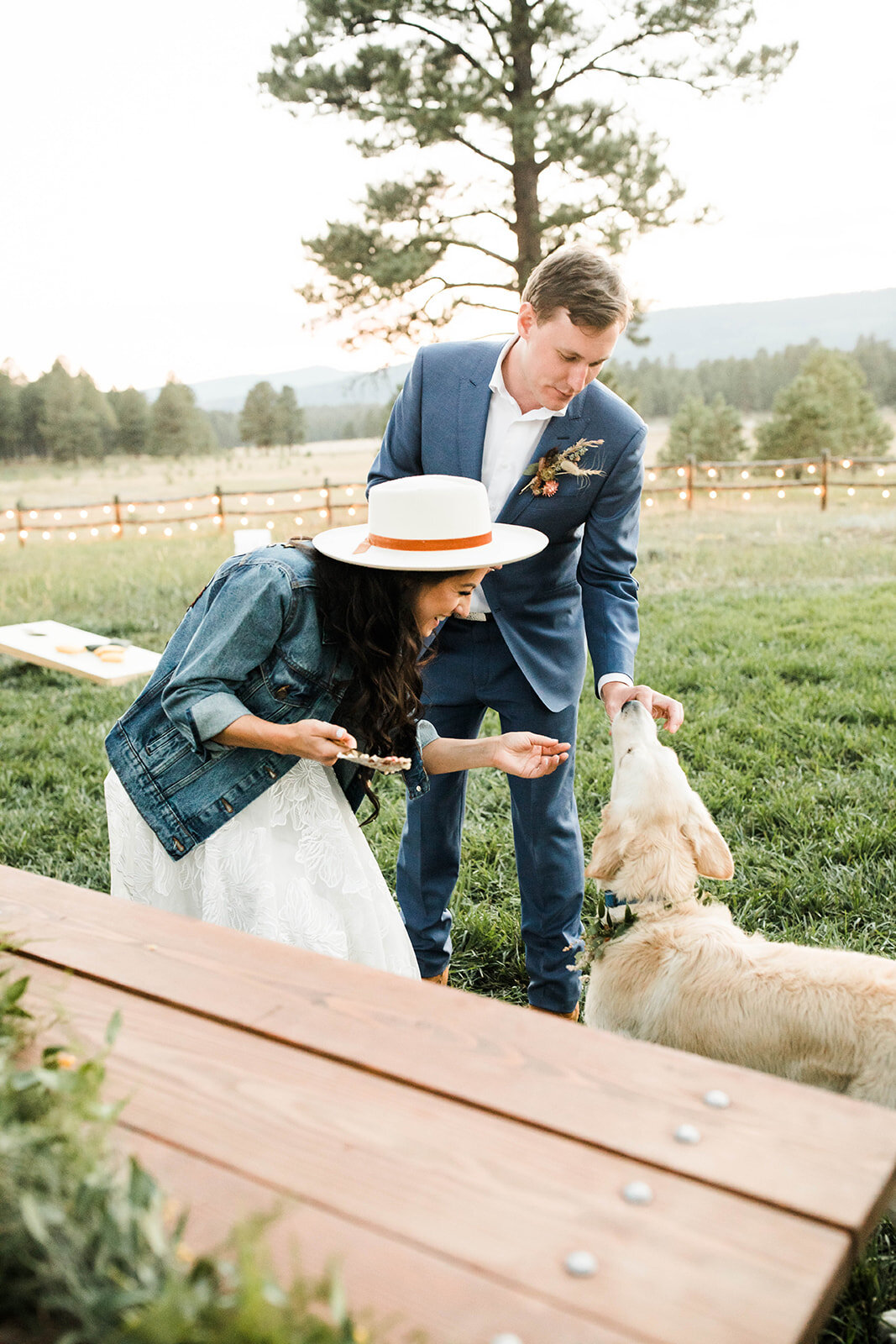 Newly weds cutting the cake at sunset surrounded by the Colorado Mountains
