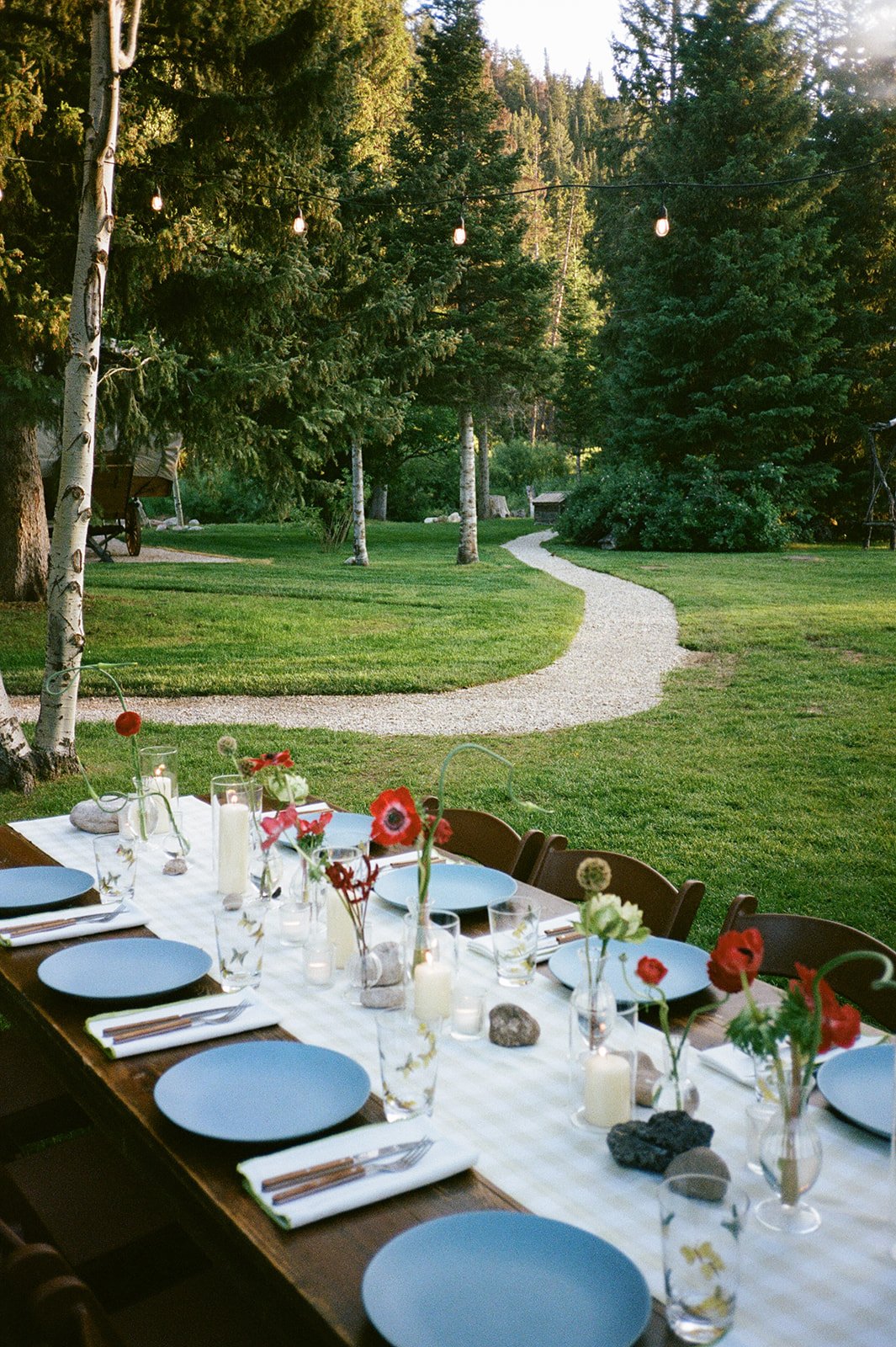 Dinner table with path leading off behind it