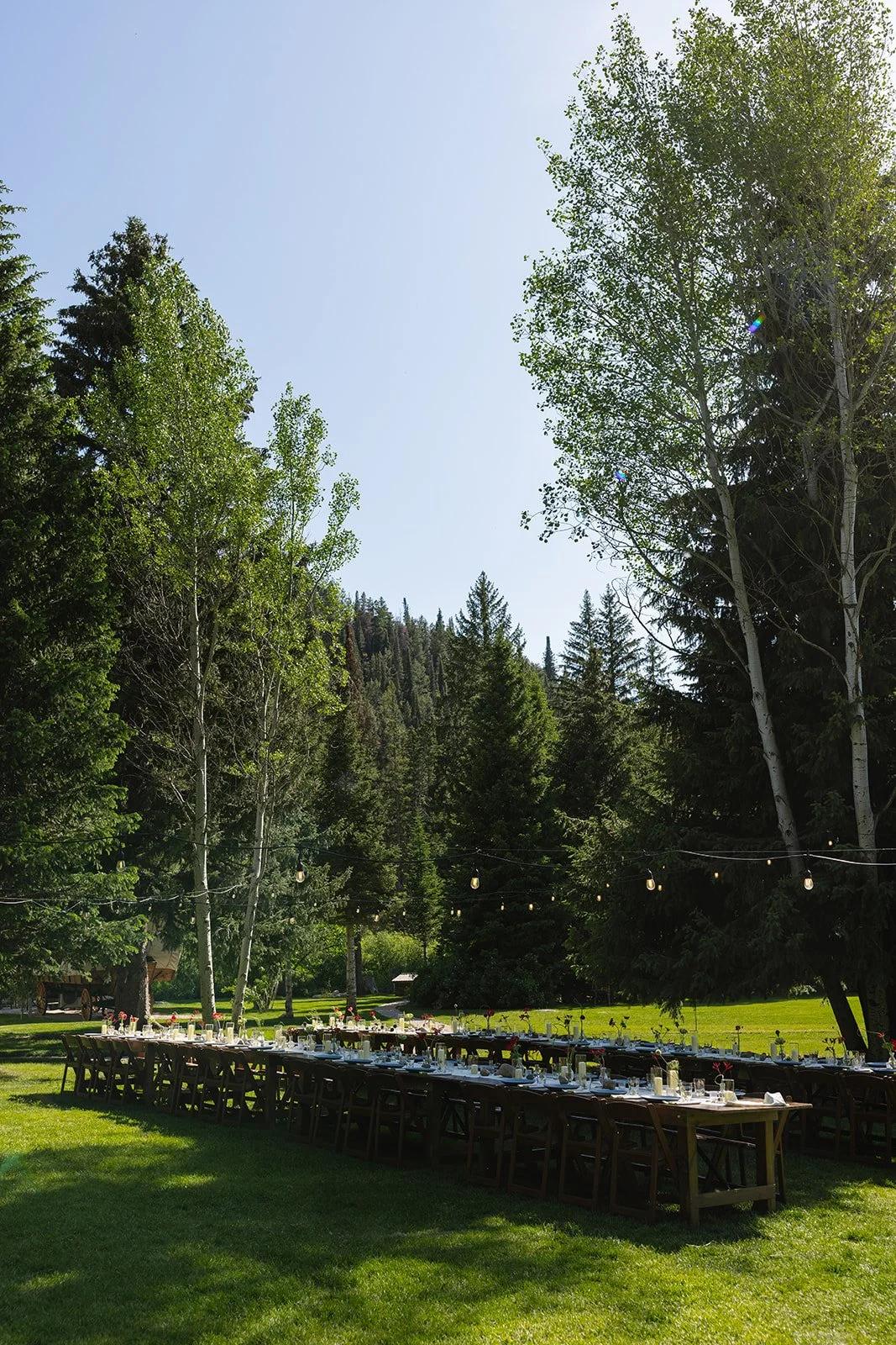 Table outdoor with aspens all around