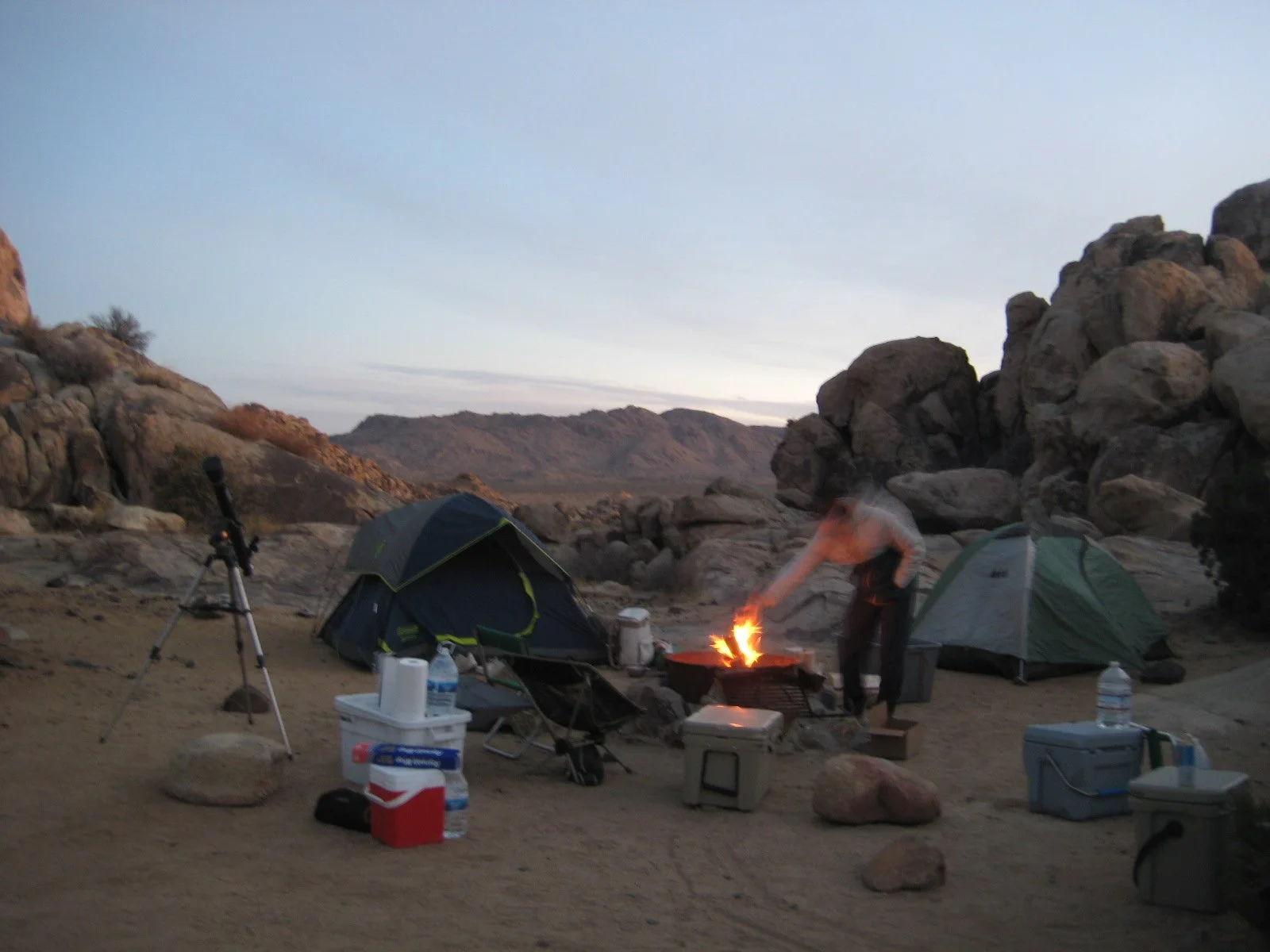Our Travel Guide to Joshua Tree — Wildly Collective | Joshua Tree and ...