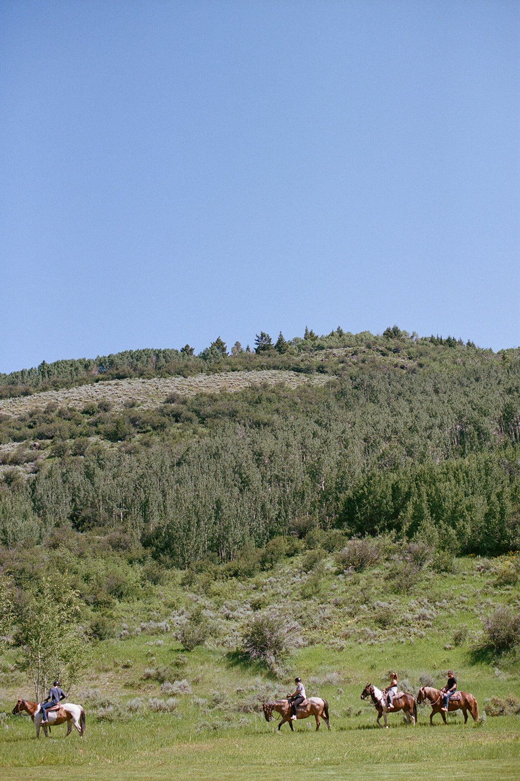 Guests horseback riding with mountains behind
