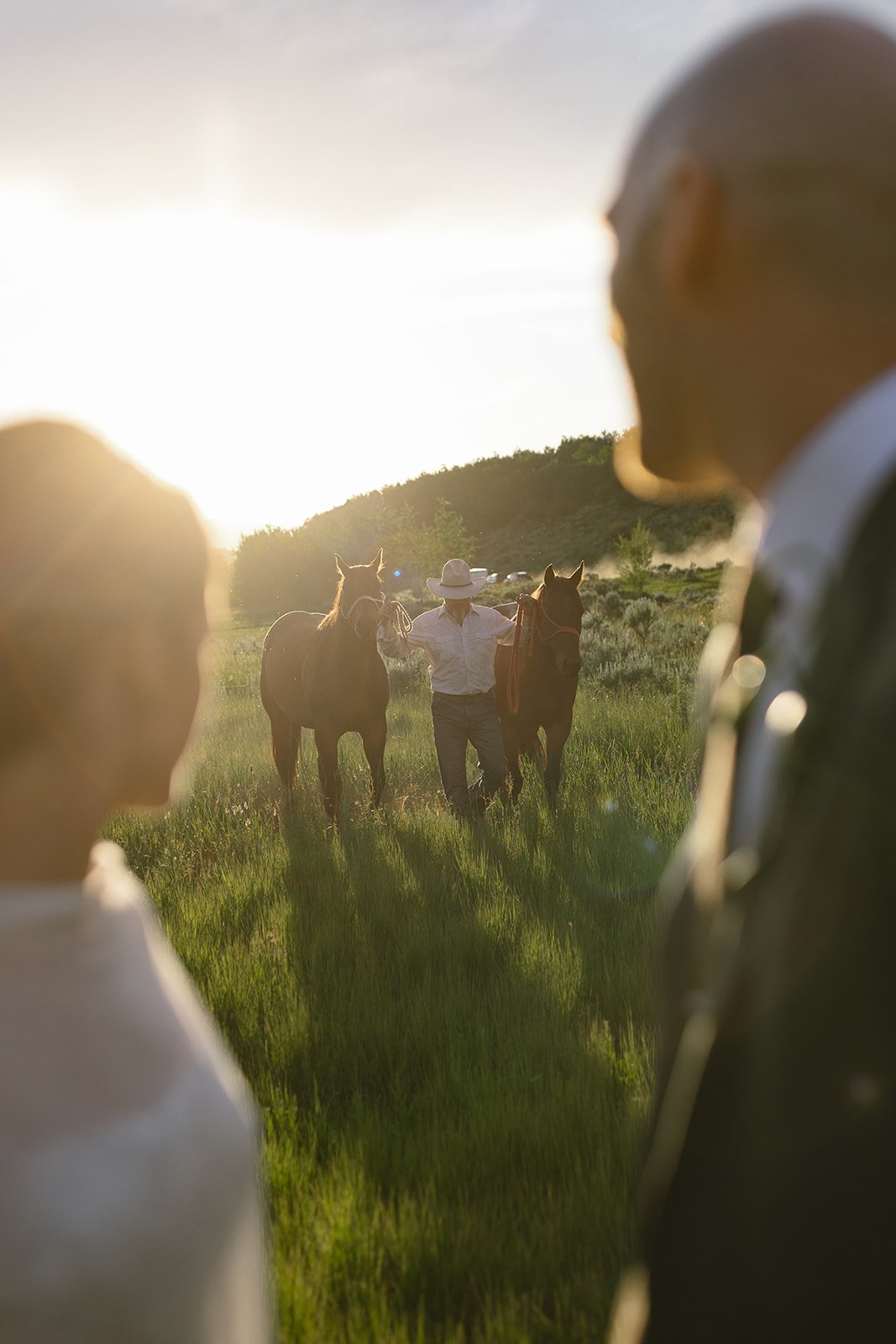 Bride and groom looking at horses in the distance