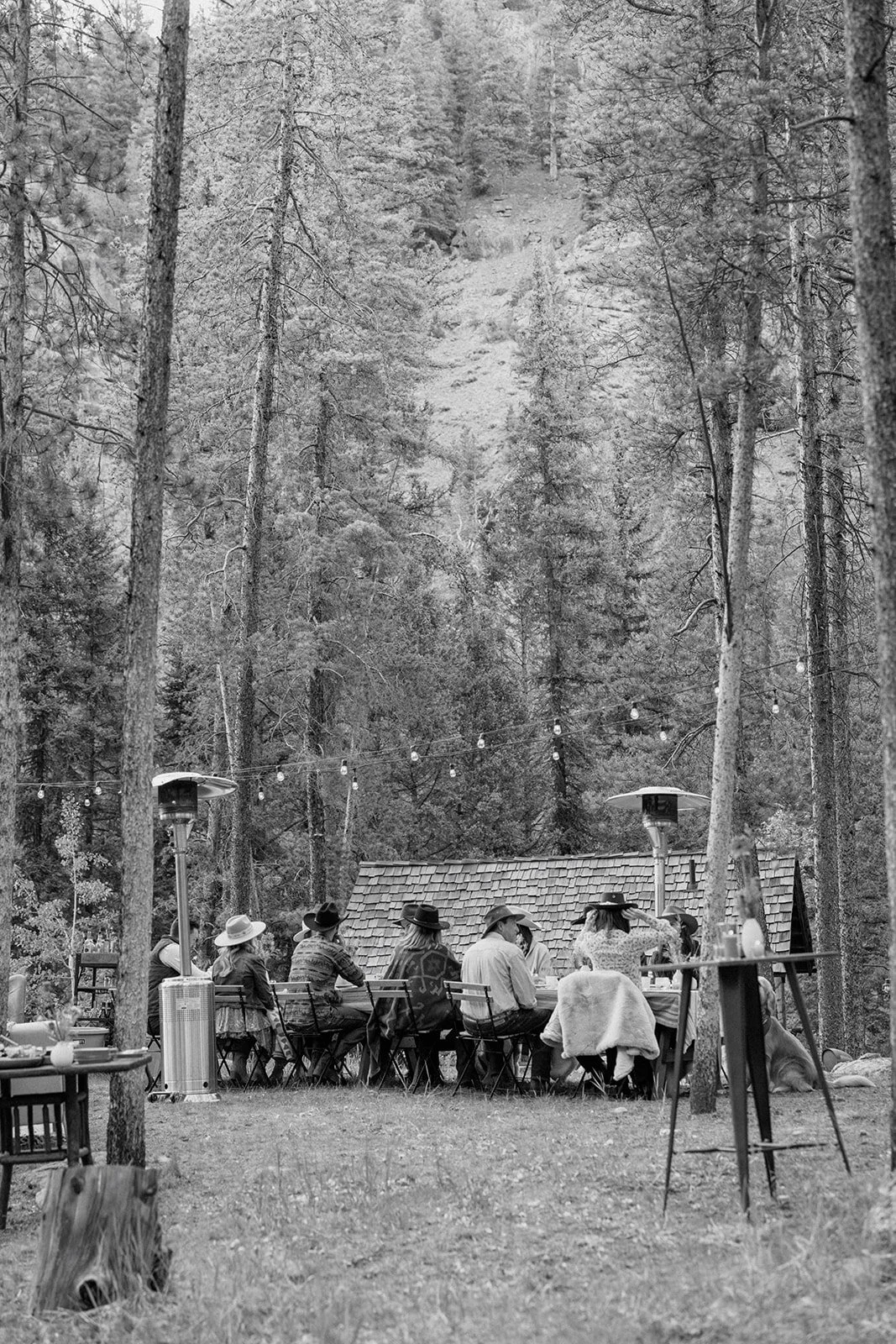 Guests sitting at dinner table outside with string lights overhead and cabin in background