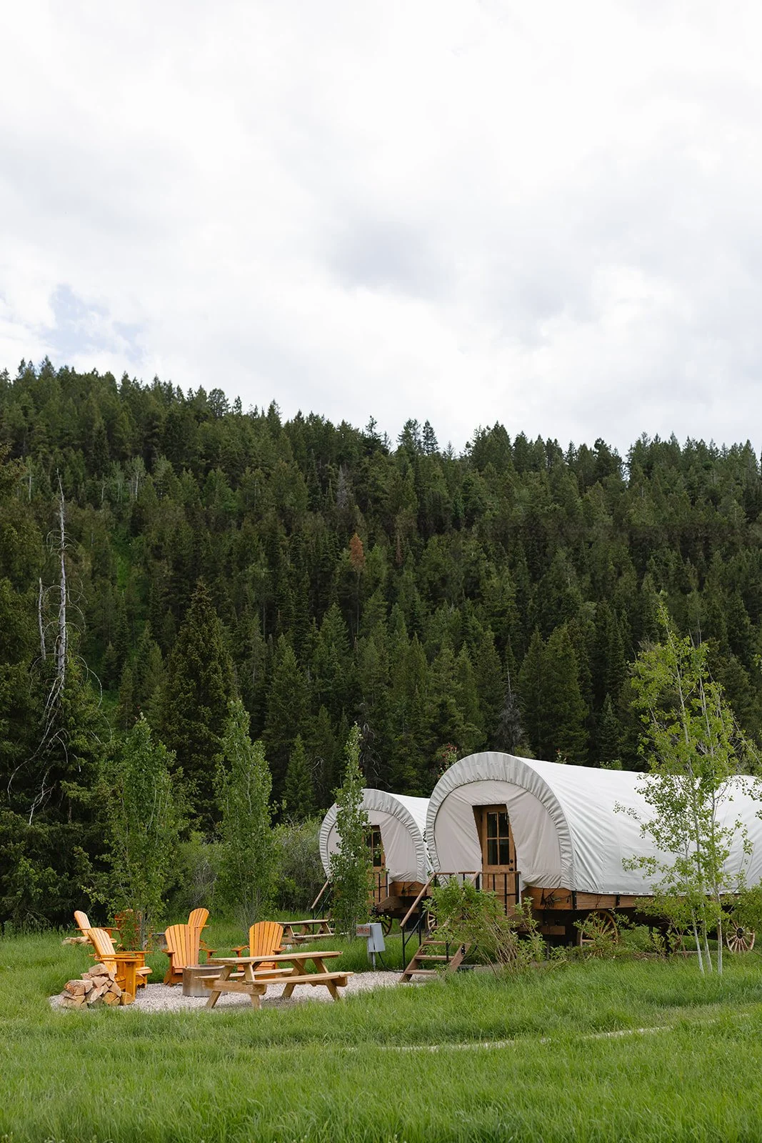 Covered wagons beside fire pits outside with pines behind