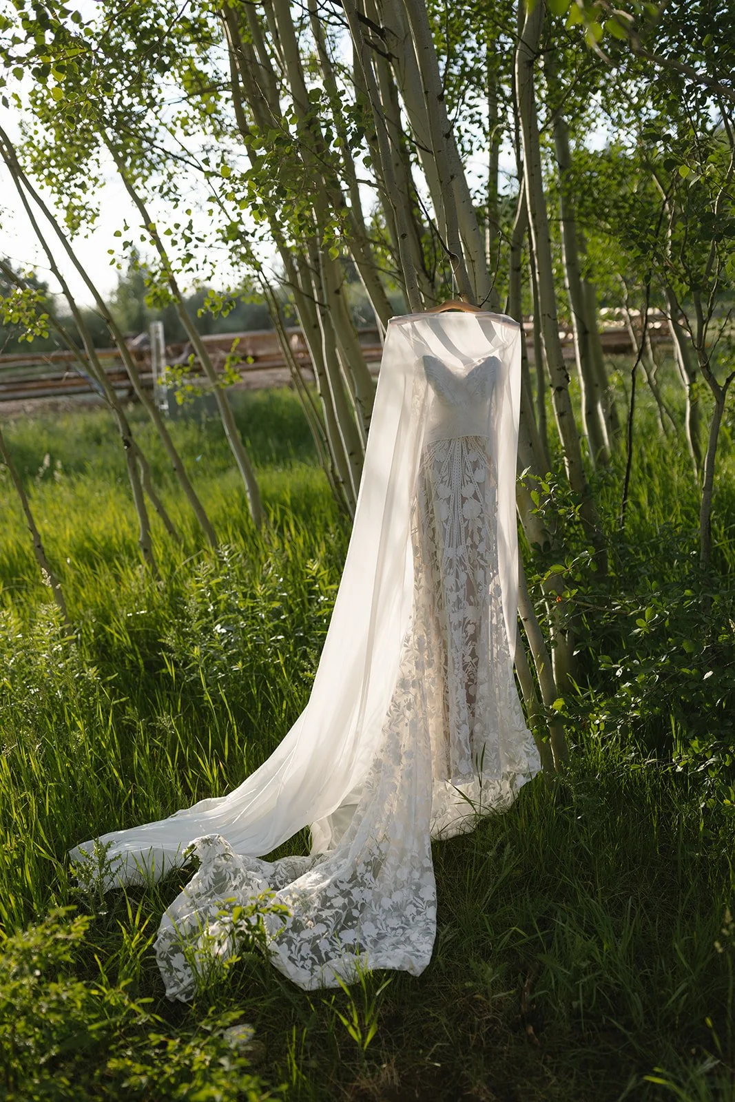 Wedding dress hanging from tree with sun behind it