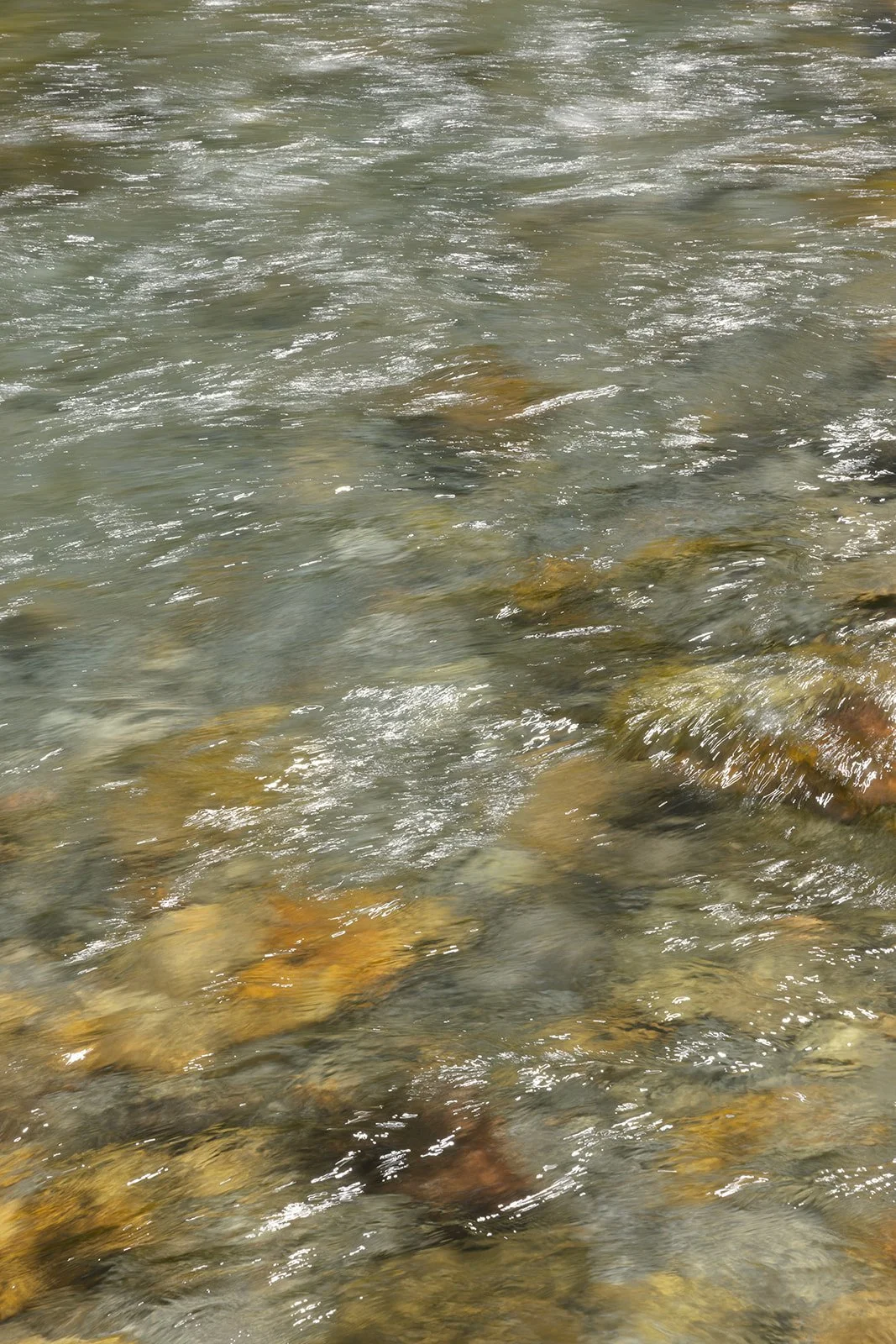 Rushing water at ranch