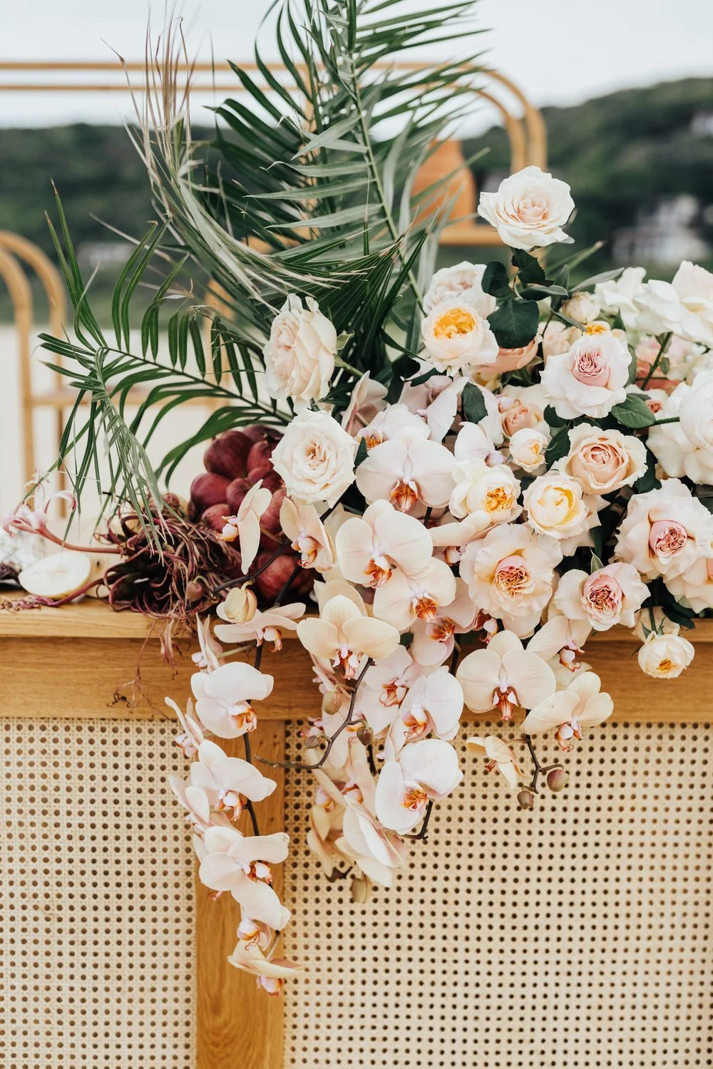 SARAH &amp; ADRIAN | MOZAMBIQUE