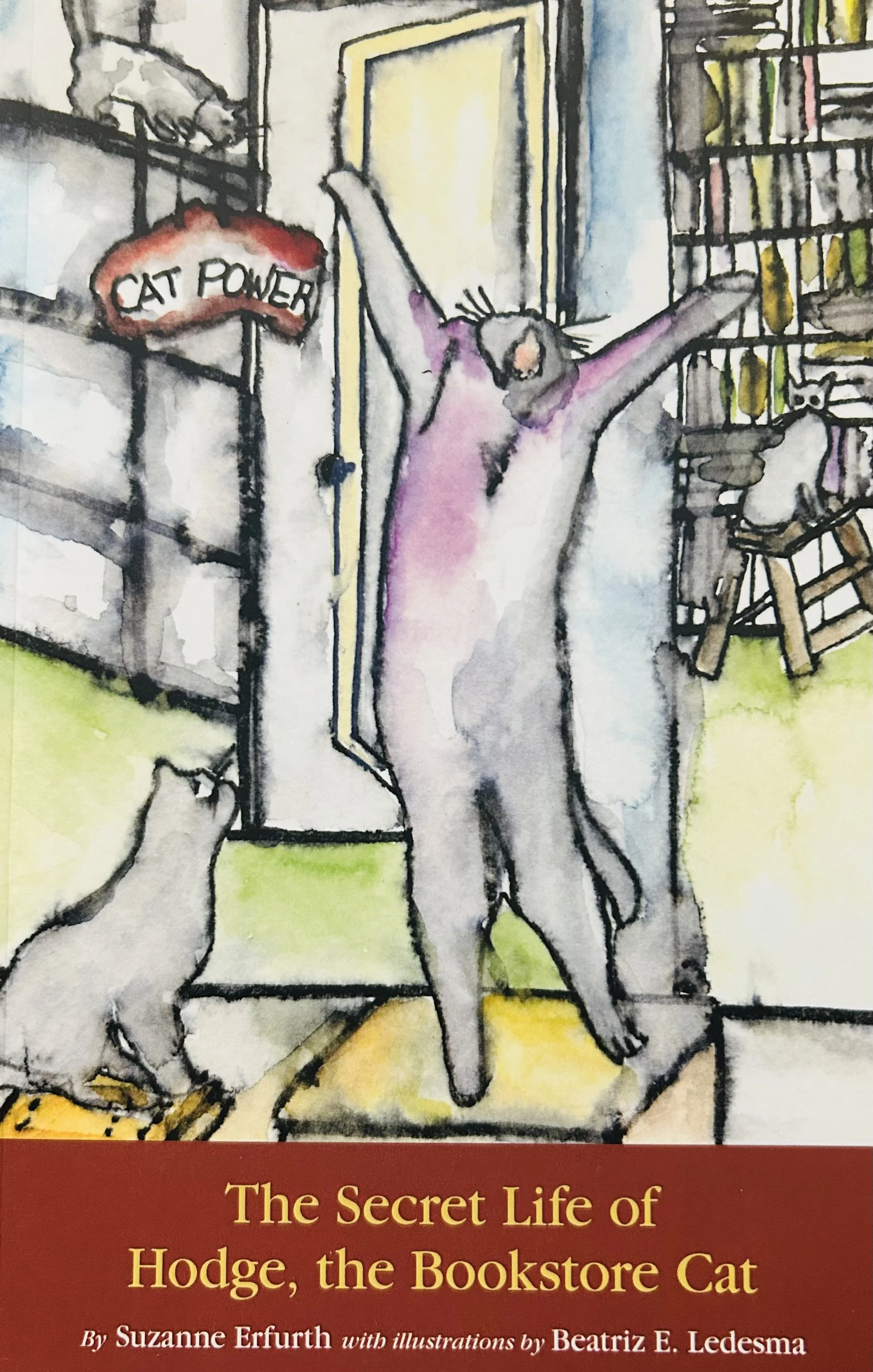 The Secret Life of Hodge, the Bookstore Cat