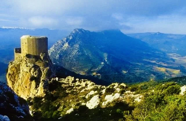 queribus cropped.jpg