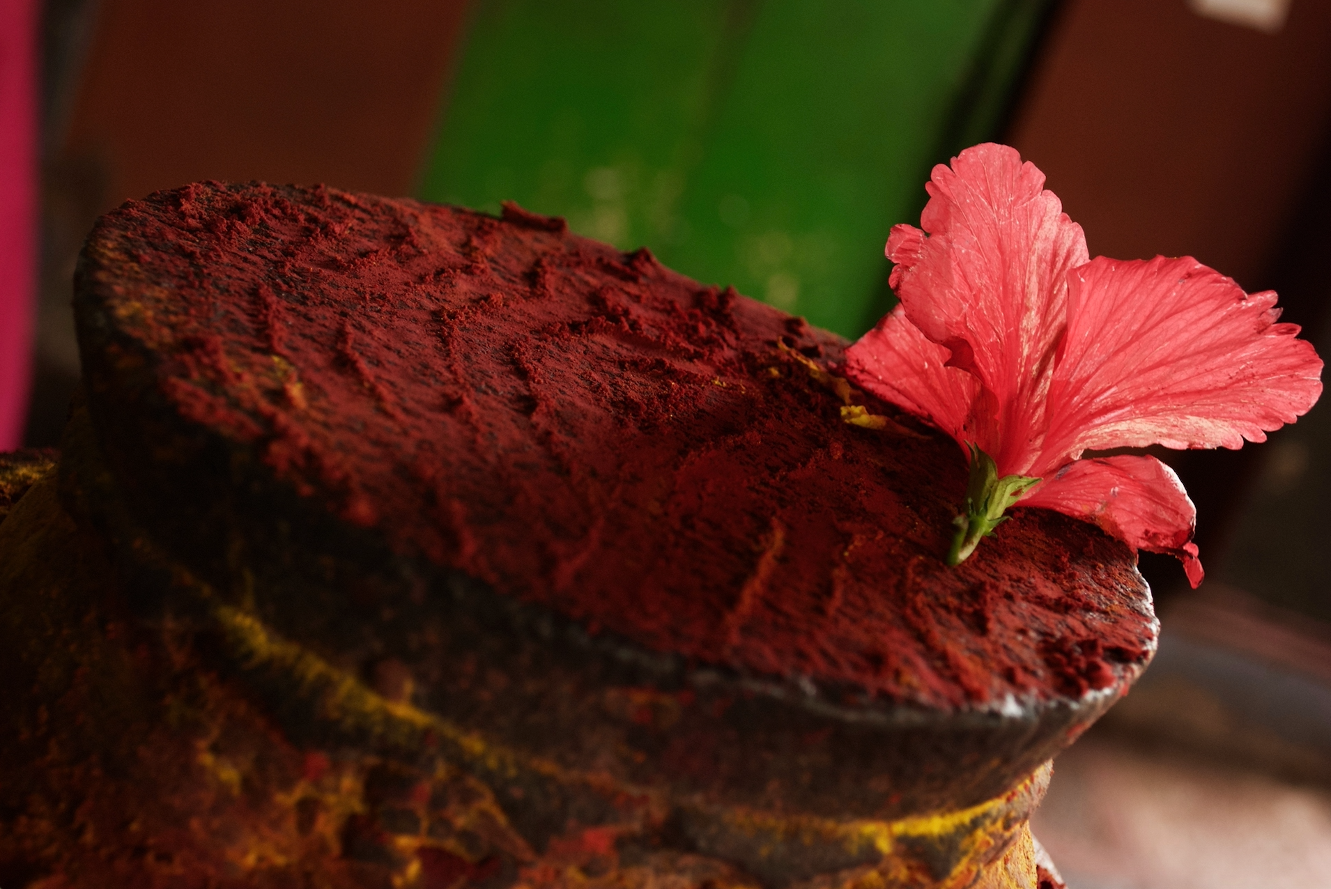 hibiscus at kali temple chidambaram 2.jpg