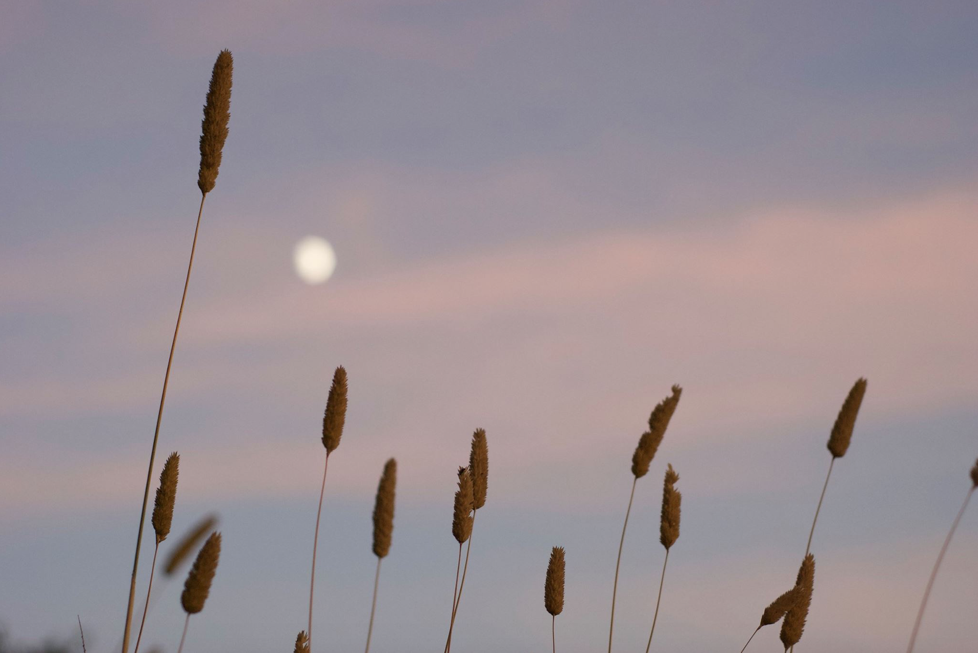 luna en san rafael.jpg