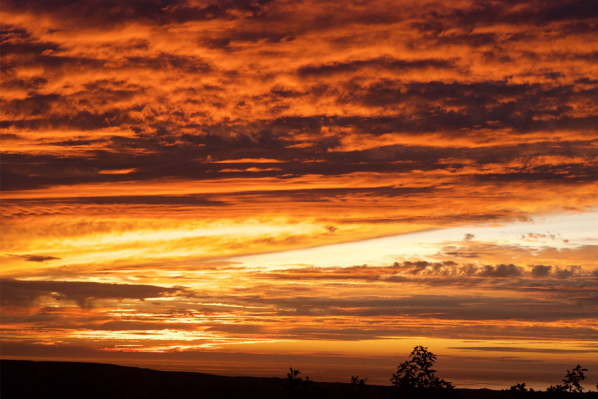 sunset in pt reyes 2.jpg