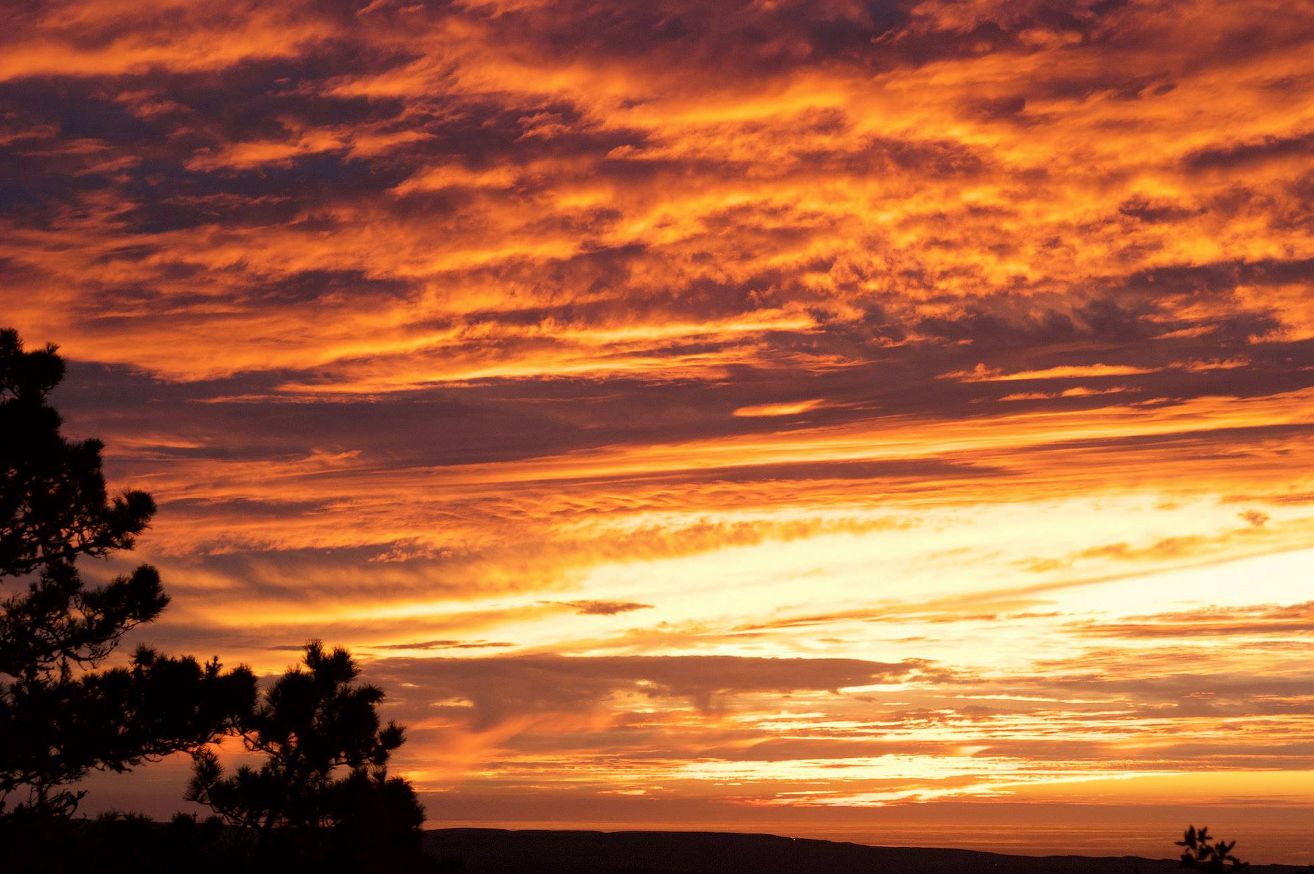 sunset in pt reyes.jpg