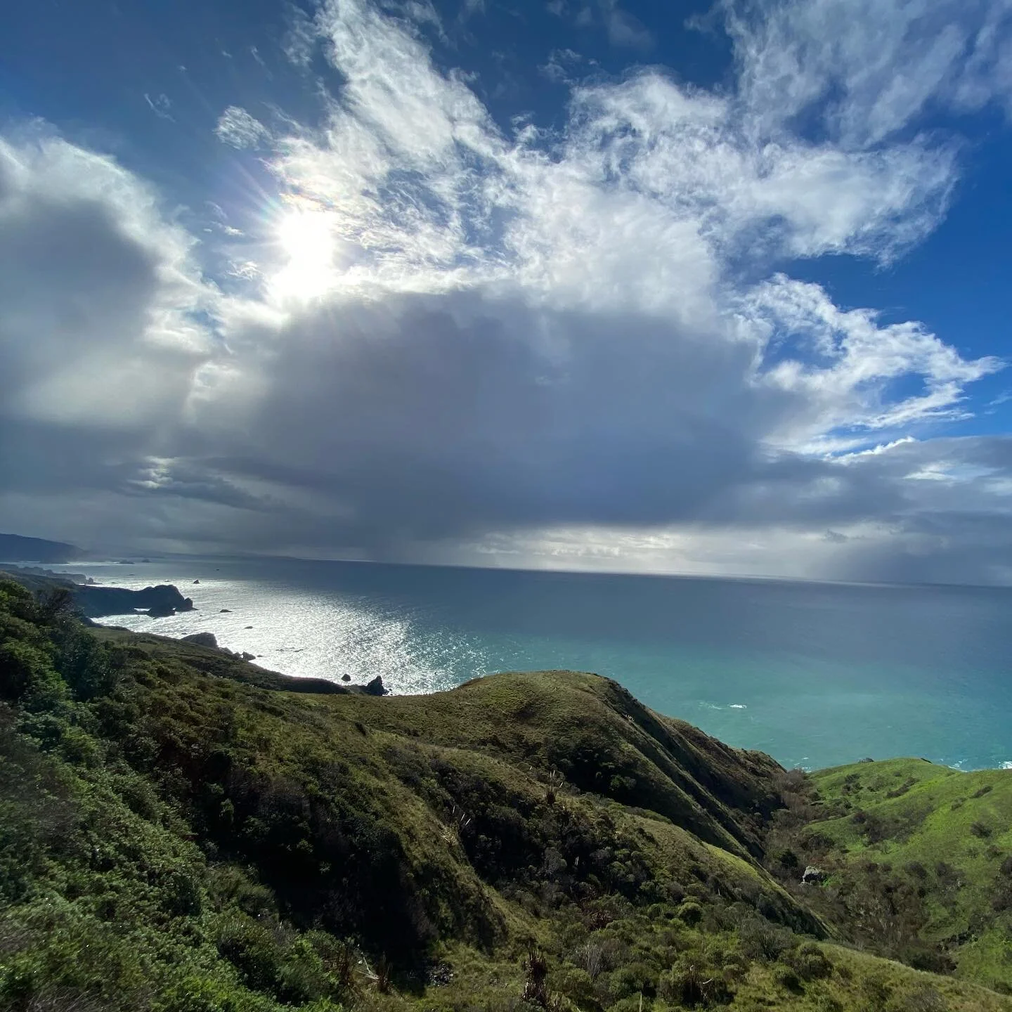 You would think I’m in Hawaii, but this is California ❤️ Graton Ranchería land. Sacred Earth. Thank you. Goodbye Cheeto.