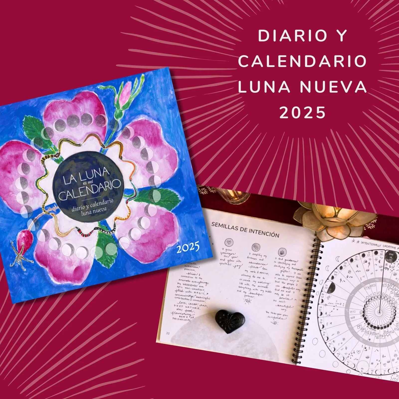 WhatsApp Image 2024-11-09 at 12.15.55.jpeg