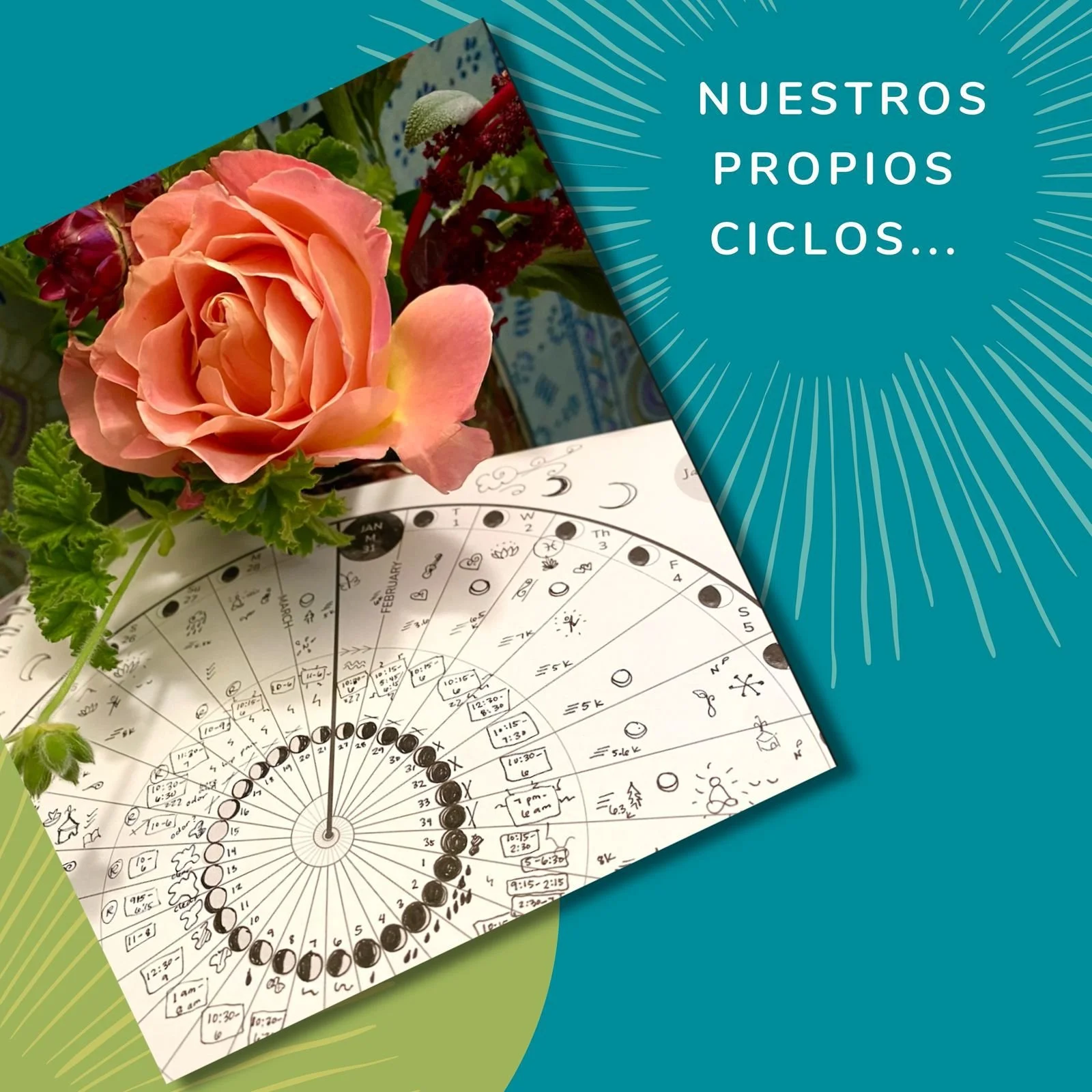 WhatsApp Image 2024-11-09 at 12.15.57.jpeg