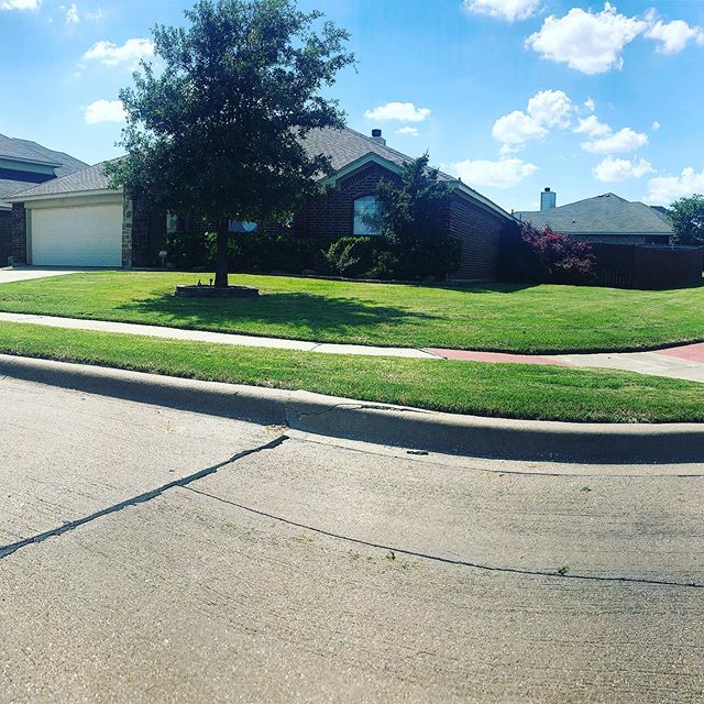 Corner lot looking tight. It took about 5 weeks of cutting once per week to finally get this yard to a manageable height. Now we can enjoy the beautiful cut without a lot of dead grass clippings. #burlesontx #burlesontexas #leathernecklandscaping #ve