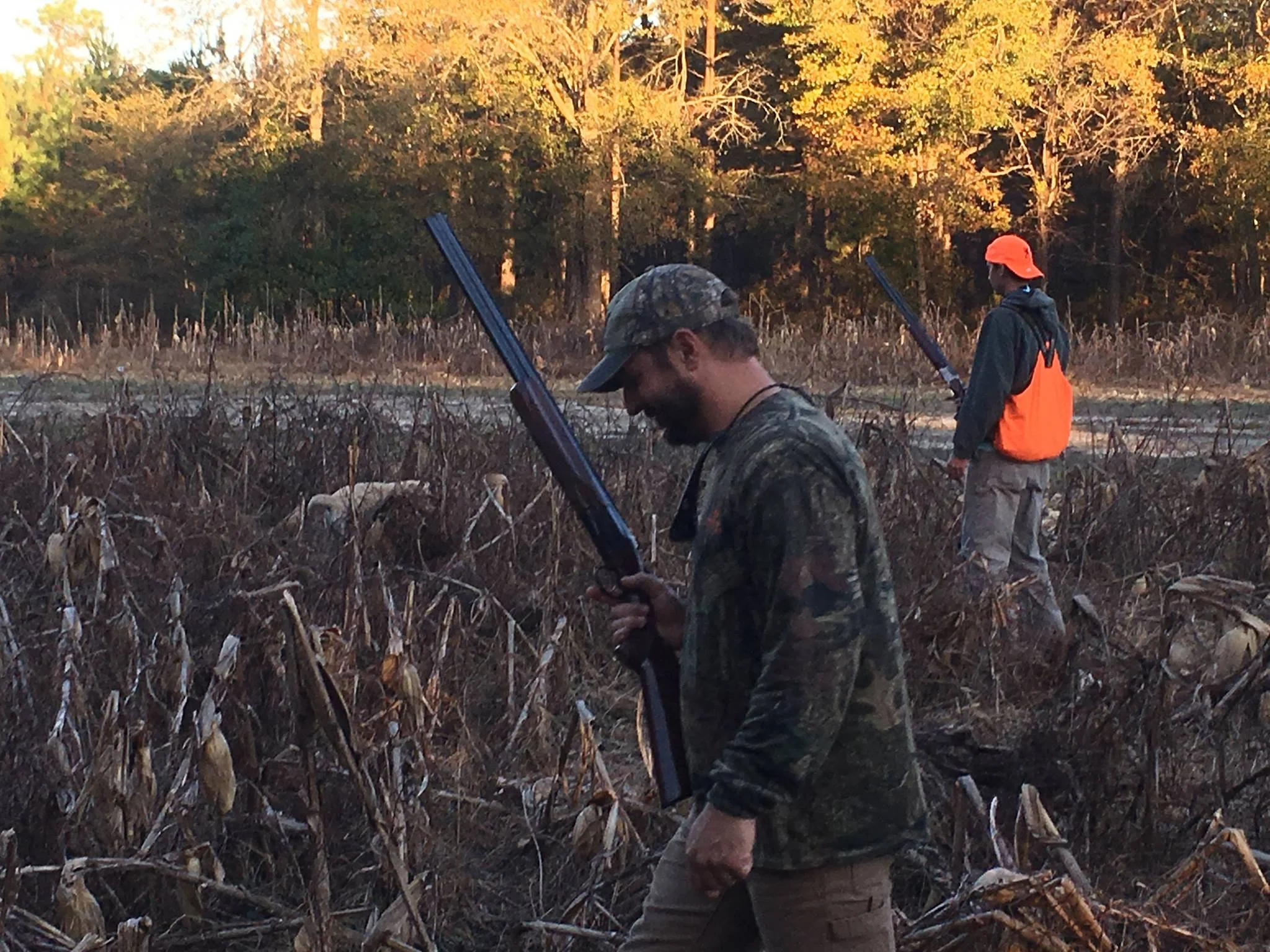 Indian Field Quail Preserve