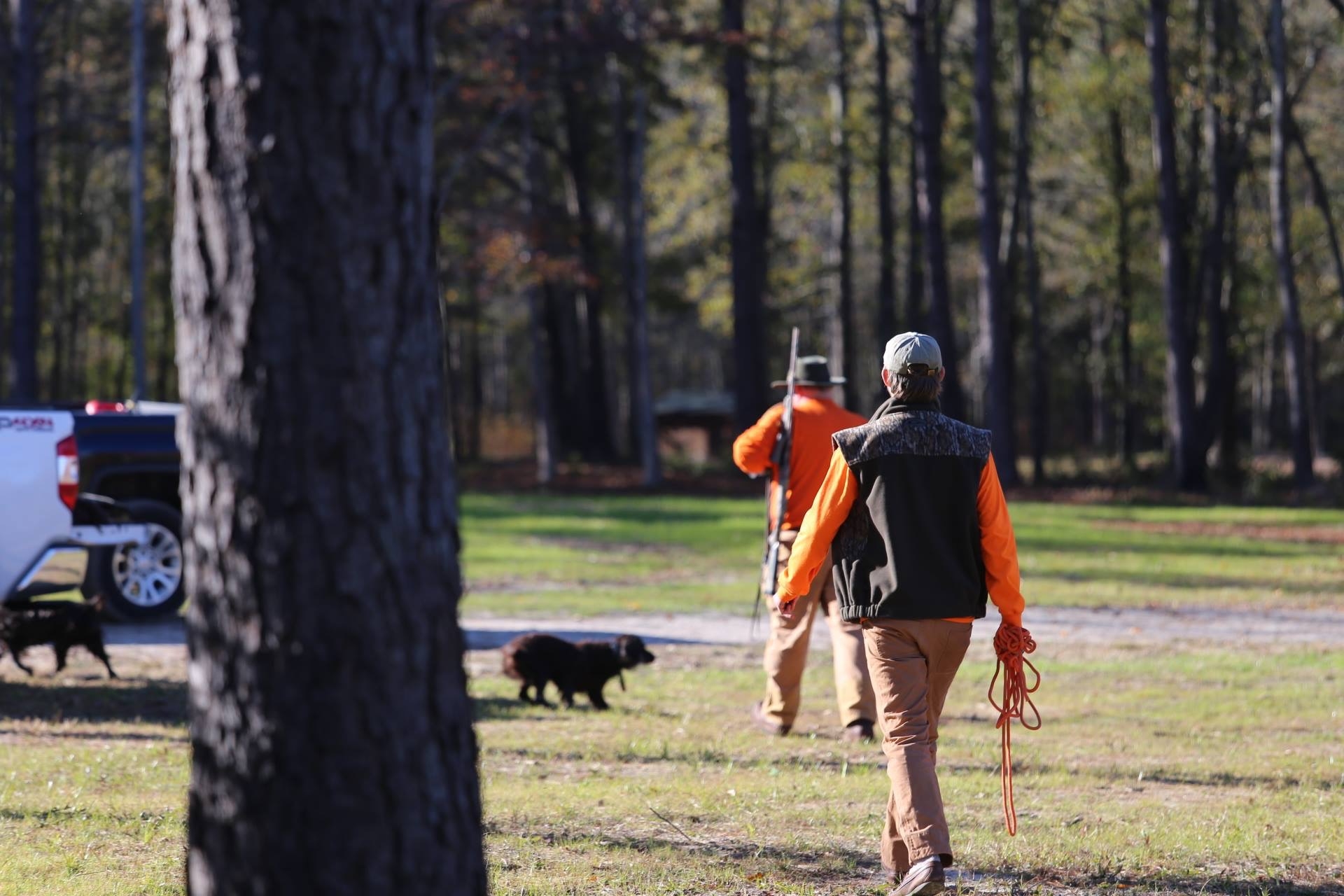 Indian Field Quail Preserve