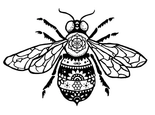 Dragon's+Bee.jpg