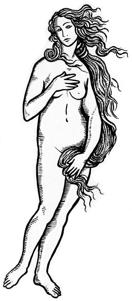 venus+scan.jpg