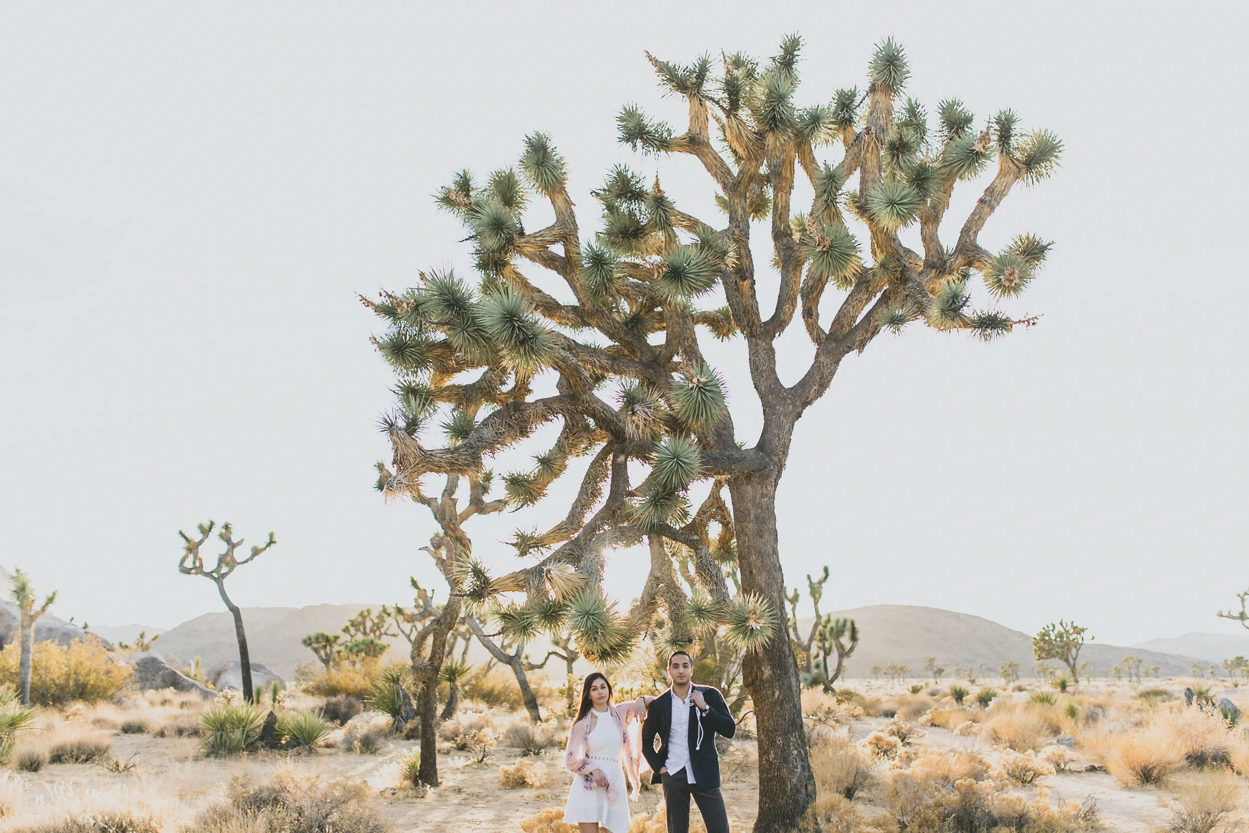 MotakefEngagementArtistic-4.jpg