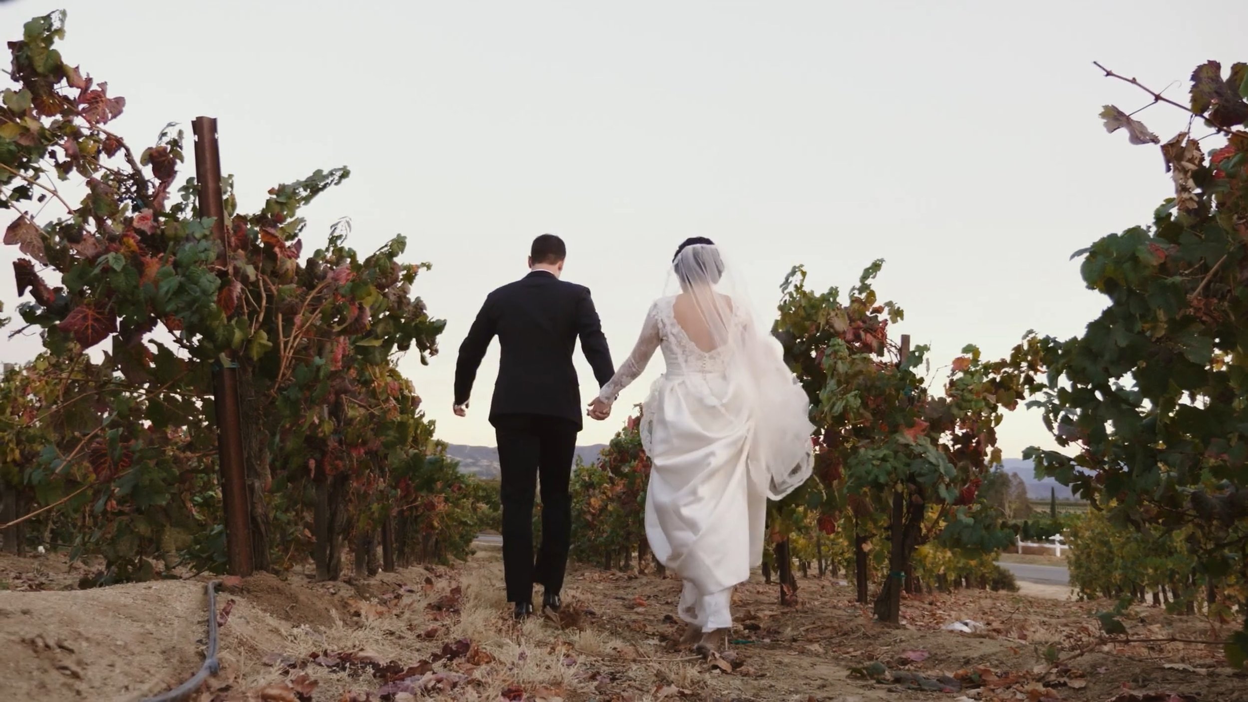 Strolling through the vinyard.jpg