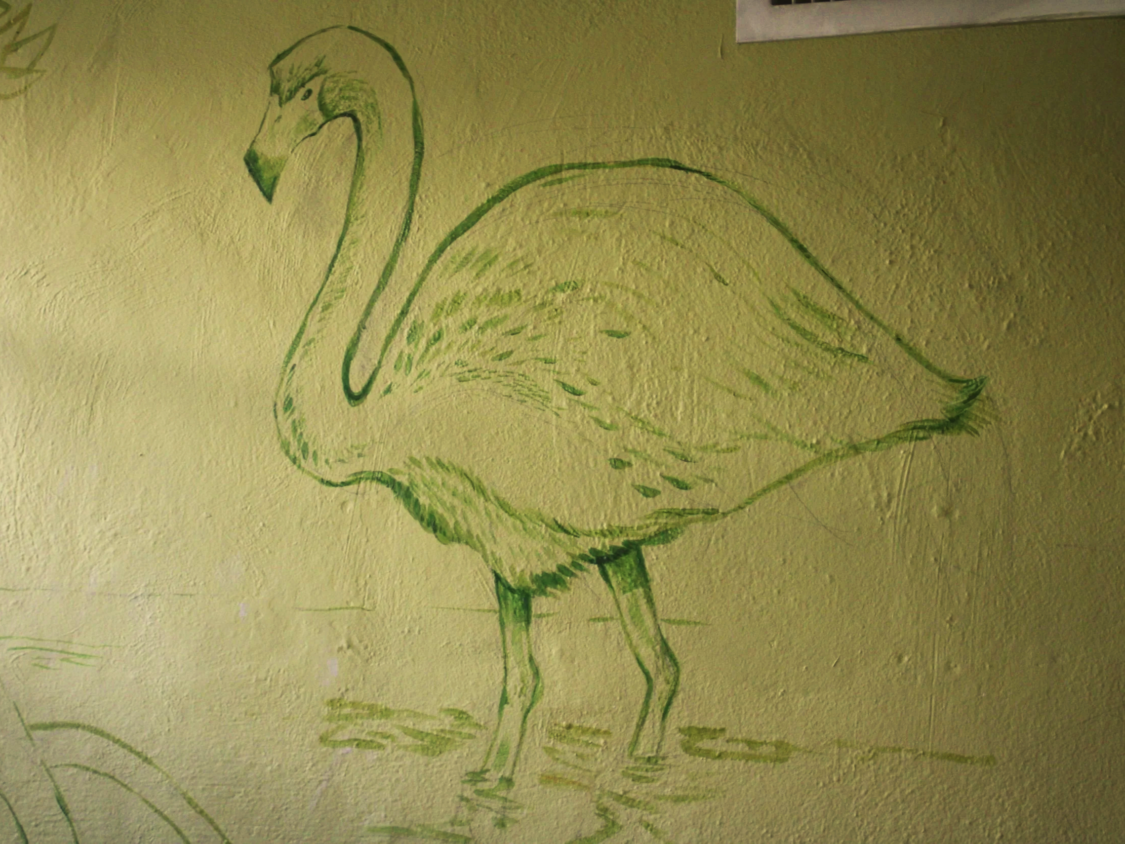 IMG_8596.png