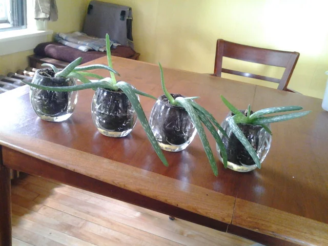 2013-06-29-11.44.41.jpg