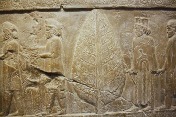 Mithra tree in Persepolis