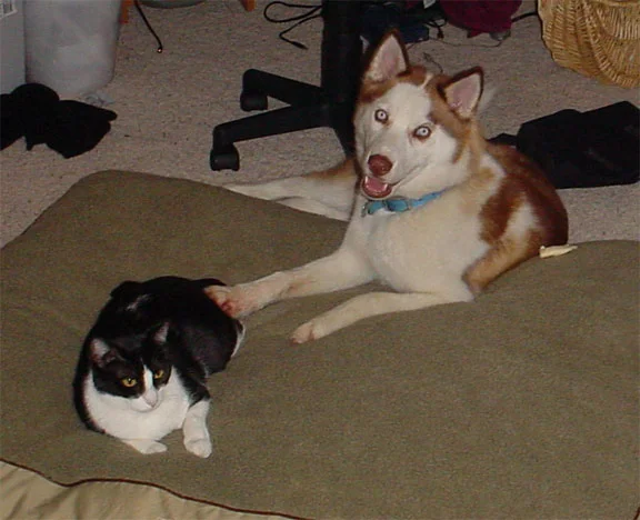Mela & KeyKey