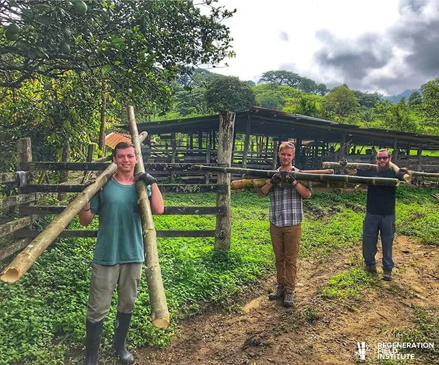 Course participants learning about the steps involved in bamboo timber production: from harvest to treatment with borox and boric acid to ensure long life for the material. #bamboocourse #sustainabletechnology #regenerativeeducation#