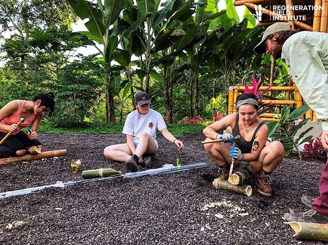 Explore the craft of bamboo building: cuts, joints, and new and traditional methods.
At Regeneration Field Institute we teach the fundamentals of design with regenerative materials. Getting to intimately know the properties and fibers of bamboo opens