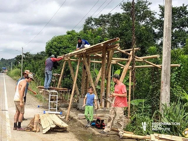 We feel at home in the community of Ricaurte, Manabi Ecuador. As thanks to our beautiful neighbors, we built this bus stop as part of our last bamboo building workshop. 🎍🏗🚞#busstop #bamboo #bambooconstruction #bamboobuilding #bambooarchitecture #c